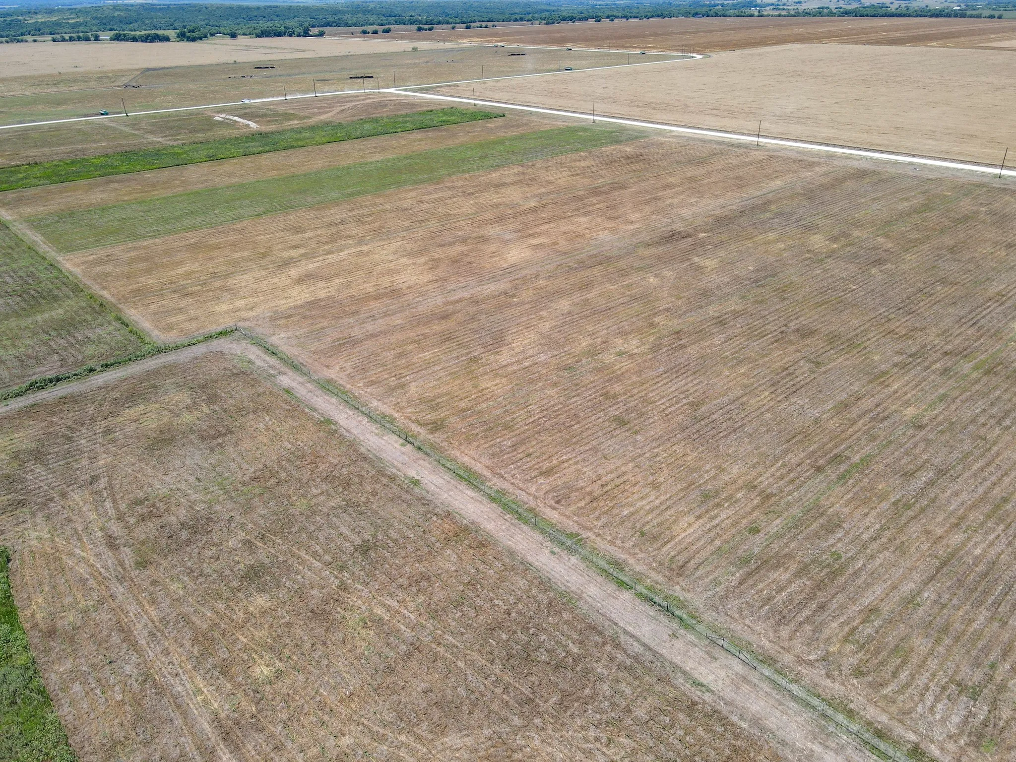 Unimproved Land For Sale in Johnson County , 9125 County Road 101A, Grandview, Texas 76050, 0, 0, Garage spaces, 0 Sqft, built in 0, Price $125,550, mls#21173468, Real Estate Agent in Grandview, Homes For Sale in Johnson county, Homes For Sale in Grandview, Realtor in Grandview Texas, Real Estate Brokerage Independent Realty Texas, Luminita Cordes Realtor