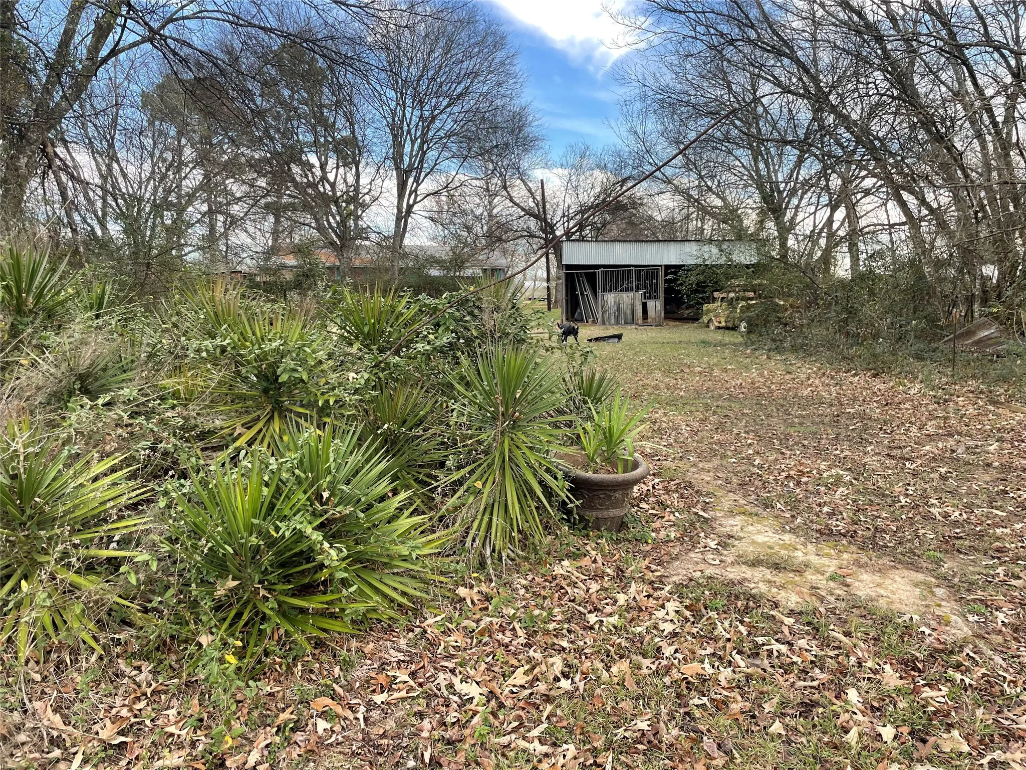 Mobile Home For Sale in Van Zandt County , 5615 Vz County Road 1222, Grand Saline, Texas 75140, 3 Bedroom, 2 Bathroom, Garage spaces, 1,680 Sqft, built in 1999, mls#21175194, Real Estate Agent in Grand Saline, Homes For Sale in Van Zandt county, Homes For Sale in Grand Saline, Realtor in Grand Saline Texas, Real Estate Brokerage Independent Realty Texas, Luminita Cordes Realtor