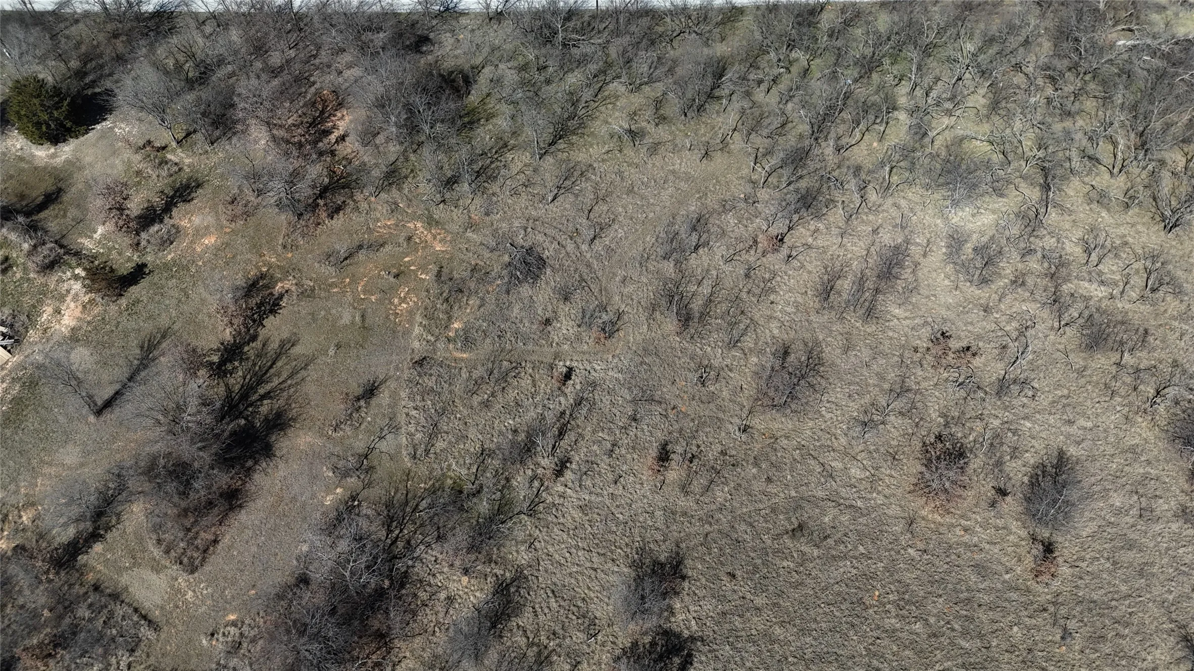 Unimproved Land For Sale in Wise County , 0000 Sunflower Road, Paradise, Texas 76073, 0, 0, Garage spaces, 0 Sqft, built in 0, mls#21175239, Real Estate Agent in Paradise, Homes For Sale in Wise county, Homes For Sale in Paradise, Realtor in Paradise Texas, Real Estate Brokerage Independent Realty Texas, Luminita Cordes Realtor