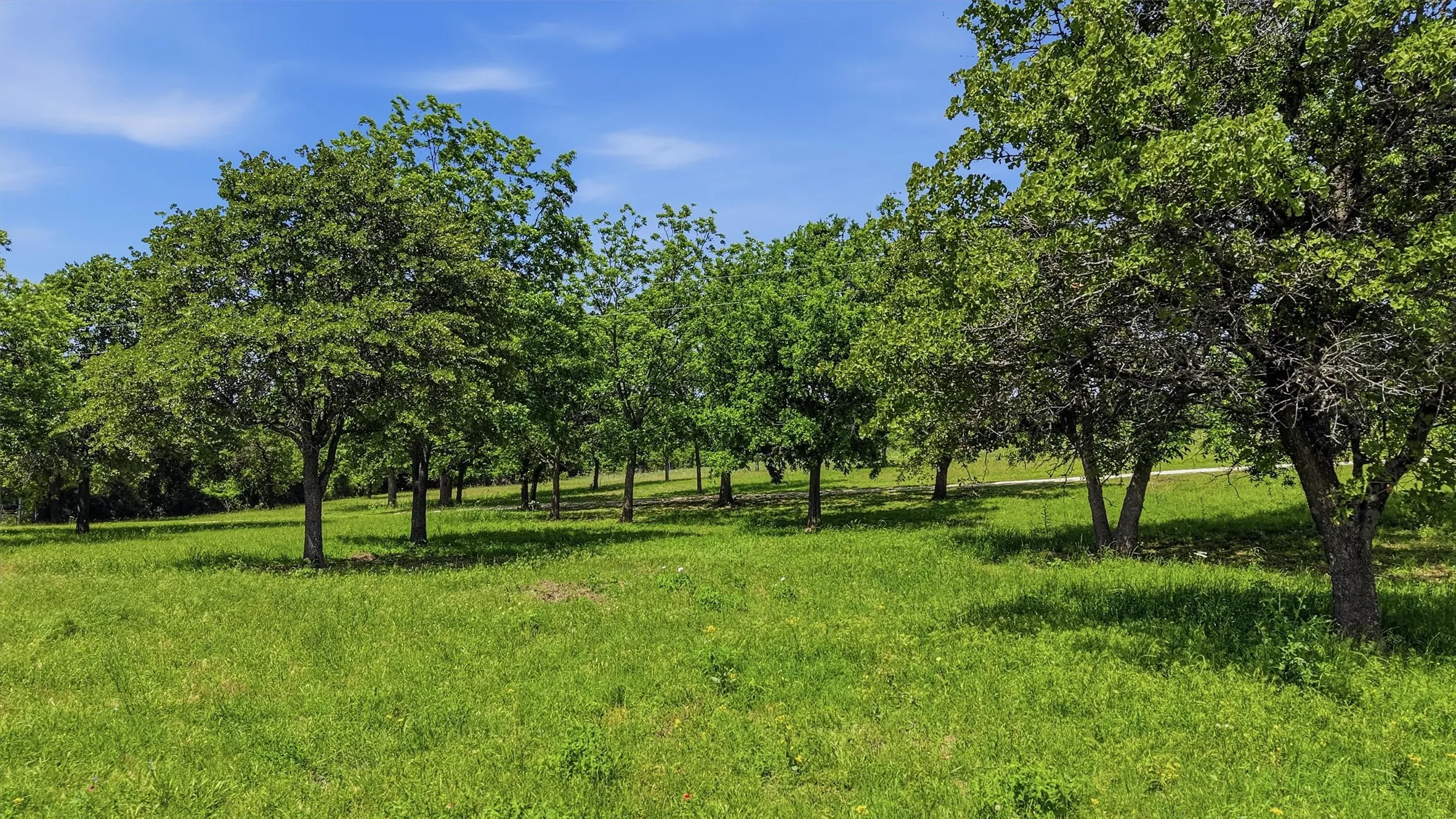 Single Family Residence For Sale in Montague County , 3078 Admire Road, Nocona, Texas 76255, 2 Bedroom, 2 Bathroom, 2 Garage spaces, 1,500 Sqft, built in 2002, Preowned, mls#21158821, Real Estate Agent in Nocona, Homes For Sale in Montague county, Homes For Sale in Nocona, Realtor in Nocona Texas, Real Estate Brokerage Independent Realty Texas, Luminita Cordes Realtor