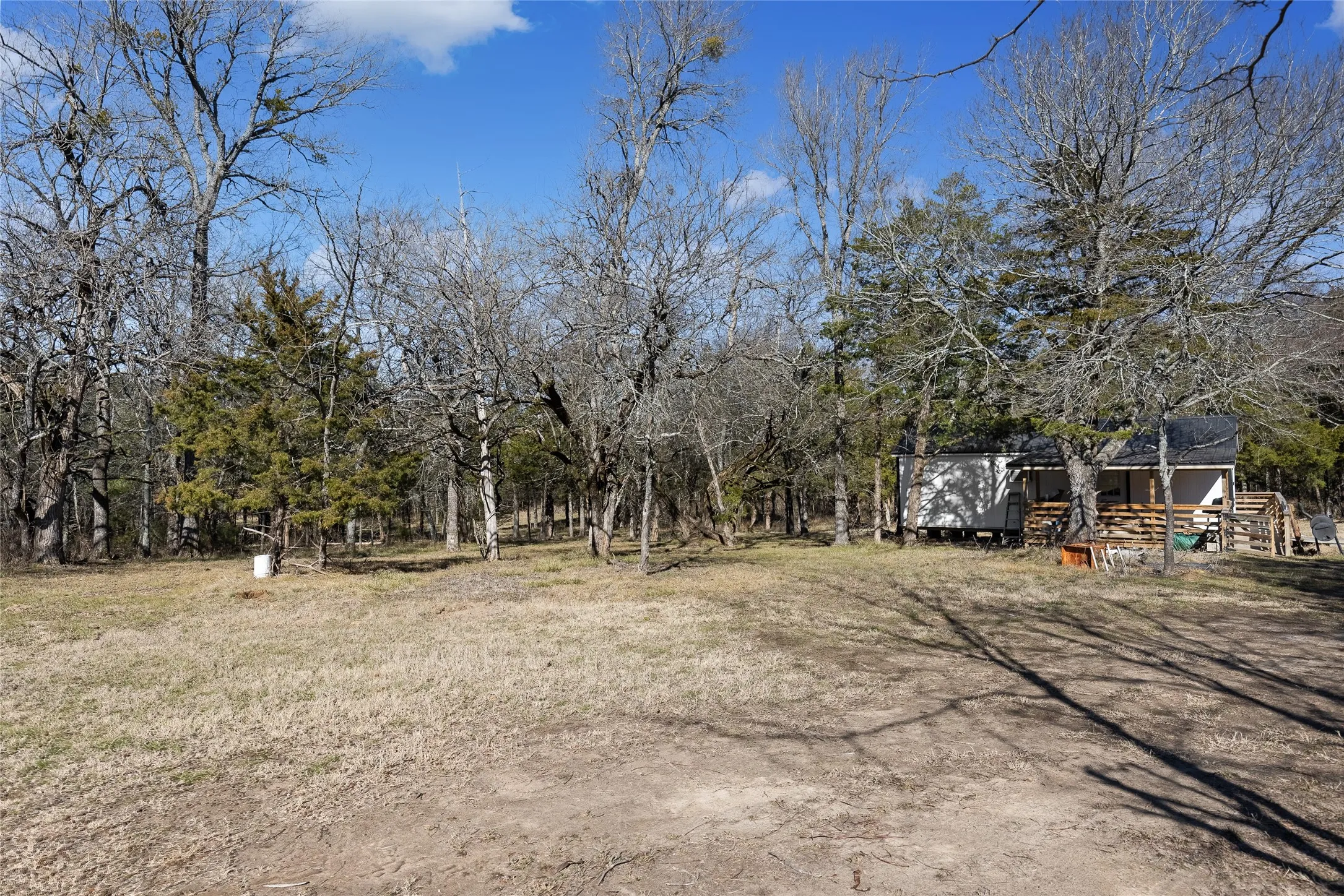 View of yard with view of scattered trees