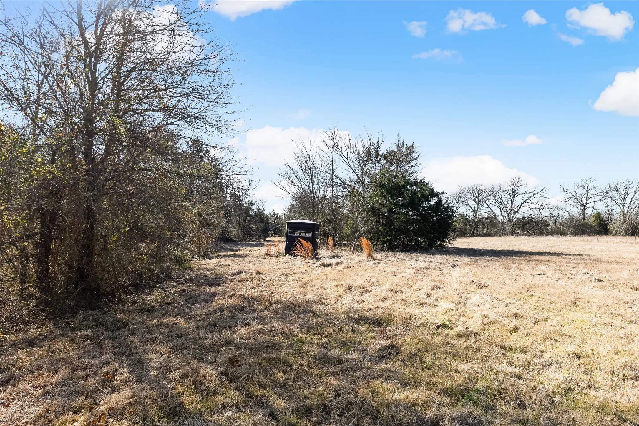 View of yard featuring a rural view