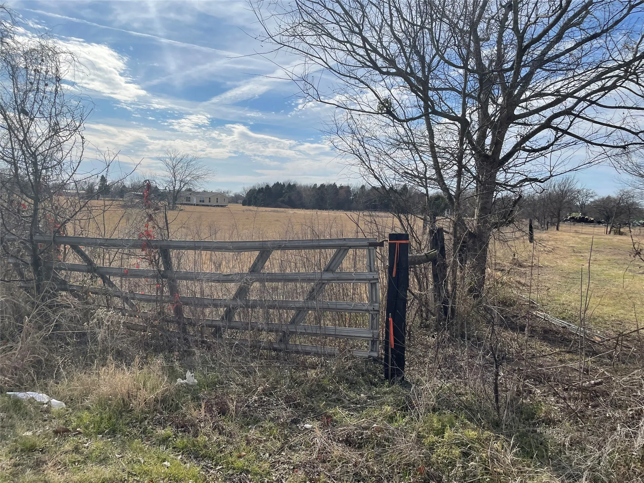 Unimproved Land For Sale in Henderson County , 17960 County Road 2529, Payne Springs, Texas 75124, 0, 0, Garage spaces, 0 Sqft, built in 0, mls#21175141, Real Estate Agent in Payne Springs, Homes For Sale in Henderson county, Homes For Sale in Payne Springs, Realtor in Payne Springs Texas, Real Estate Brokerage Independent Realty Texas, Luminita Cordes Realtor