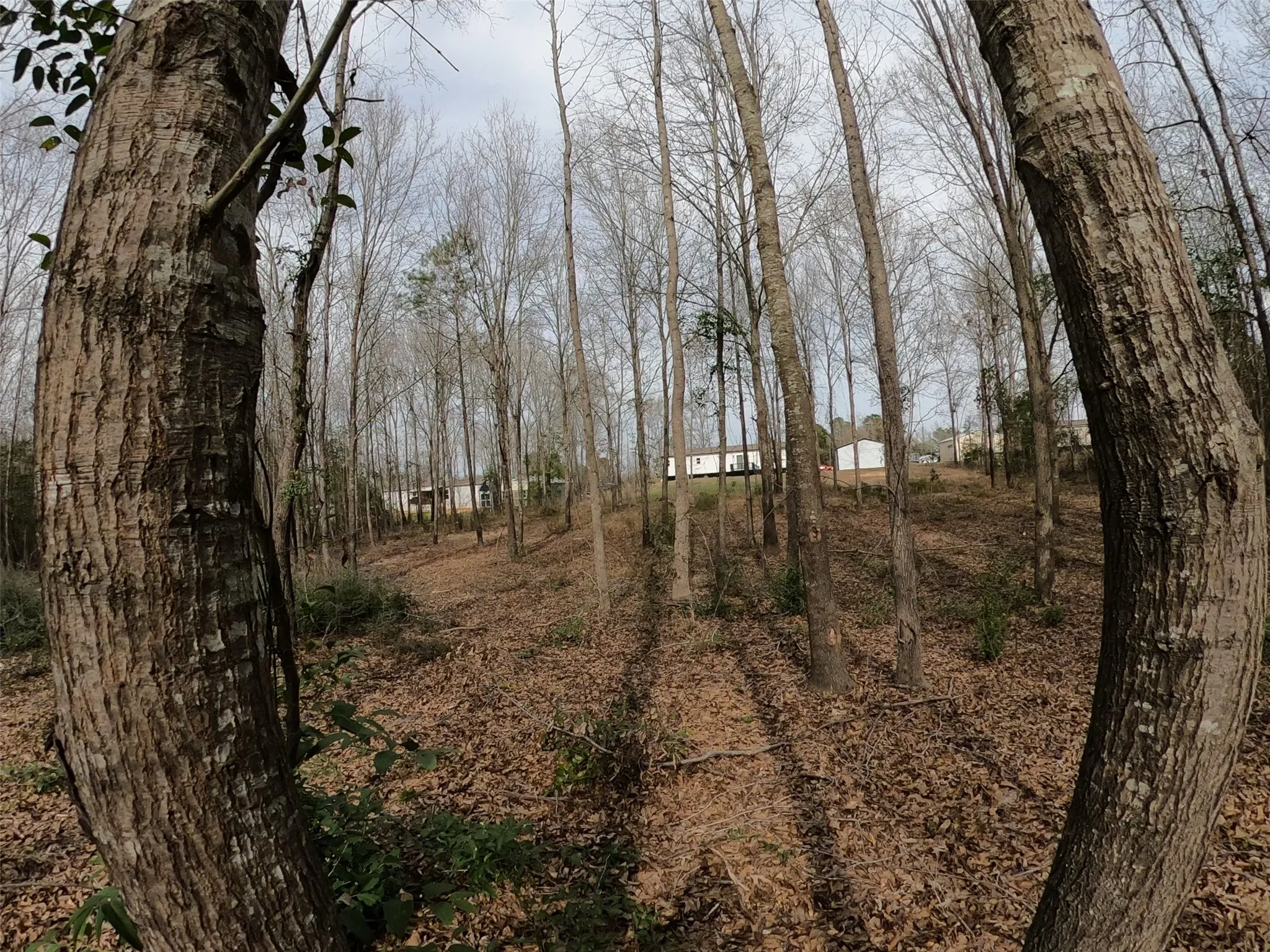 Manufactured Home For Sale in Upshur County , 141 Tanglewood Drive, Gilmer, Texas 75645, 4 Bedroom, 2 Bathroom, 2 Garage spaces, 1,904 Sqft, built in 2021, mls#21175439, Real Estate Agent in Gilmer, Homes For Sale in Upshur county, Homes For Sale in Gilmer, Realtor in Gilmer Texas, Real Estate Brokerage Independent Realty Texas, Luminita Cordes Realtor