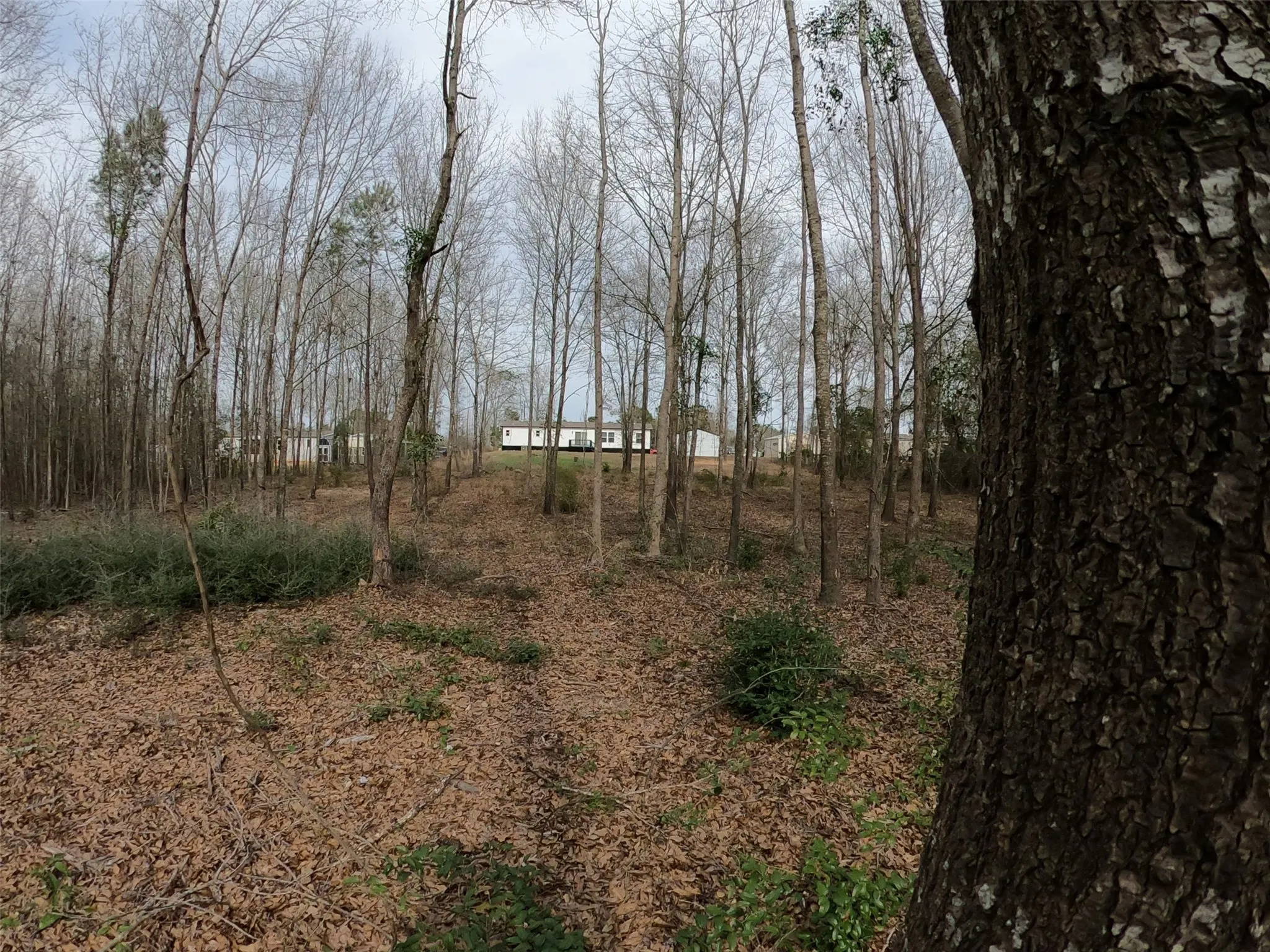 Manufactured Home For Sale in Upshur County , 141 Tanglewood Drive, Gilmer, Texas 75645, 4 Bedroom, 2 Bathroom, 2 Garage spaces, 1,904 Sqft, built in 2021, mls#21175439, Real Estate Agent in Gilmer, Homes For Sale in Upshur county, Homes For Sale in Gilmer, Realtor in Gilmer Texas, Real Estate Brokerage Independent Realty Texas, Luminita Cordes Realtor
