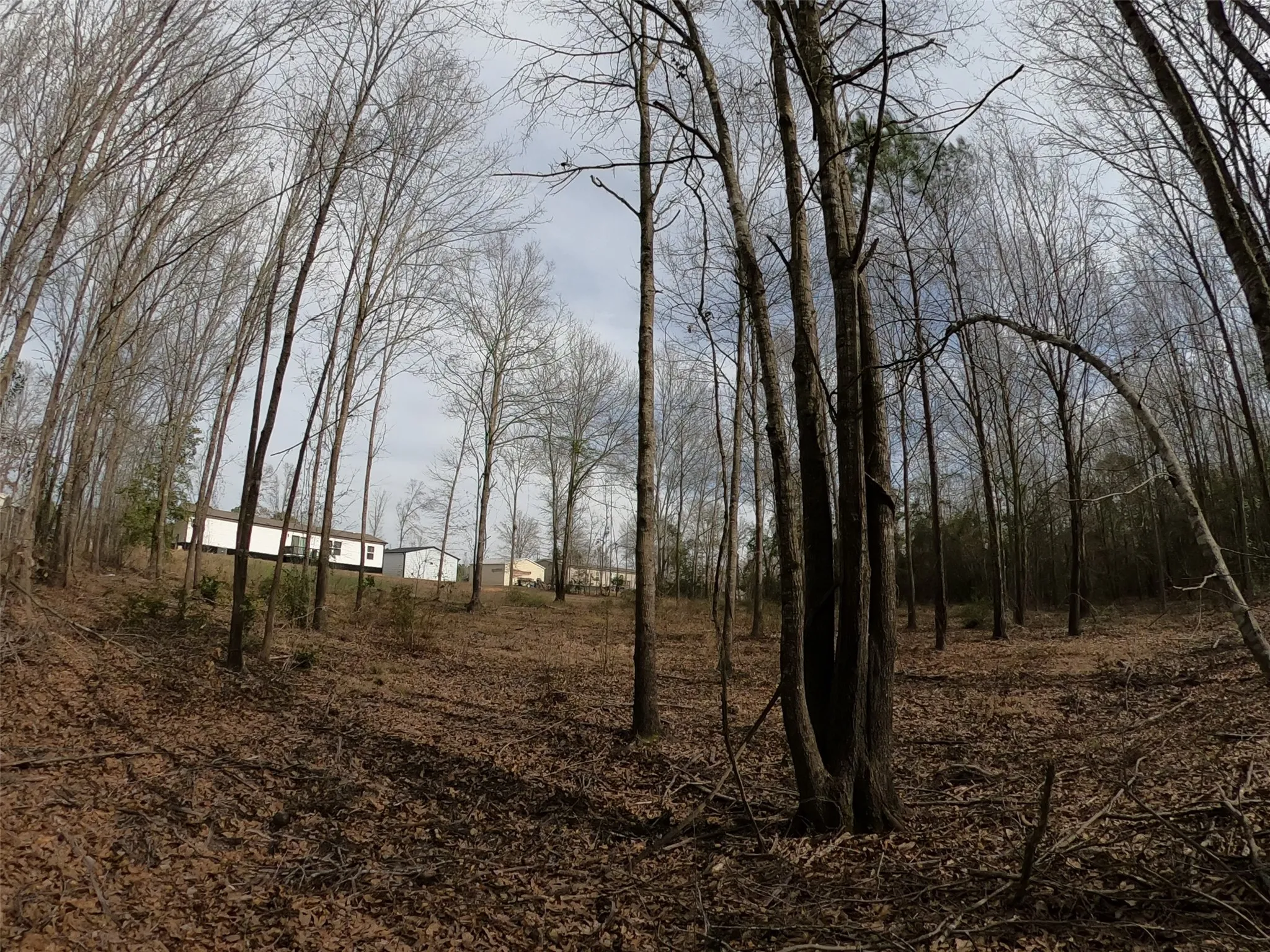 Manufactured Home For Sale in Upshur County , 141 Tanglewood Drive, Gilmer, Texas 75645, 4 Bedroom, 2 Bathroom, 2 Garage spaces, 1,904 Sqft, built in 2021, mls#21175439, Real Estate Agent in Gilmer, Homes For Sale in Upshur county, Homes For Sale in Gilmer, Realtor in Gilmer Texas, Real Estate Brokerage Independent Realty Texas, Luminita Cordes Realtor