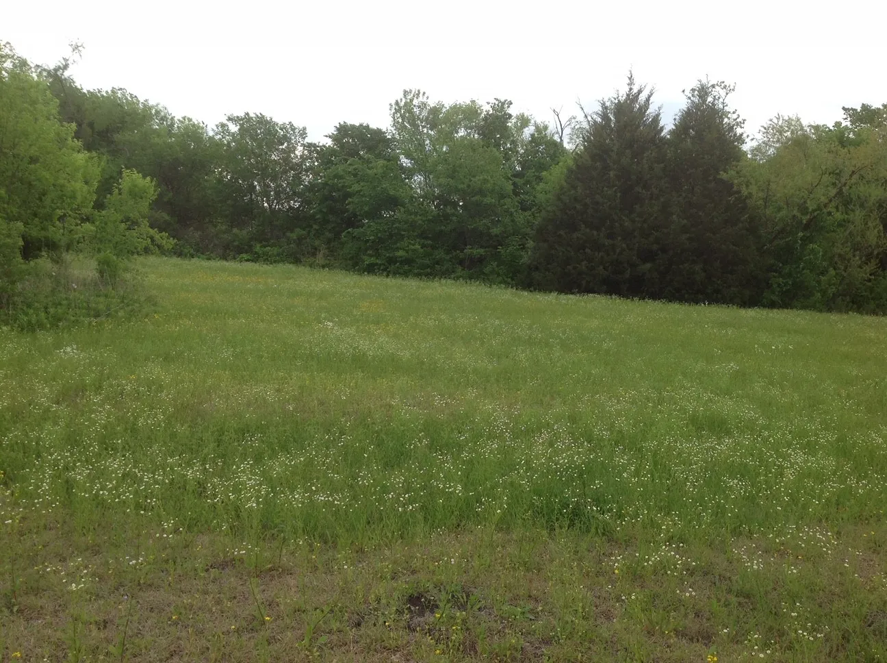 Unimproved Land For Sale in Dallas County , 1407 Ponderosa Trail, Sachse, Texas 75048, 0, 0, Garage spaces, 0 Sqft, built in 0, Price $1,225,000, mls#21173891, Real Estate Agent in Sachse, Homes For Sale in Dallas county, Homes For Sale in Sachse, Realtor in Sachse Texas, Real Estate Brokerage Independent Realty Texas, Luminita Cordes Realtor