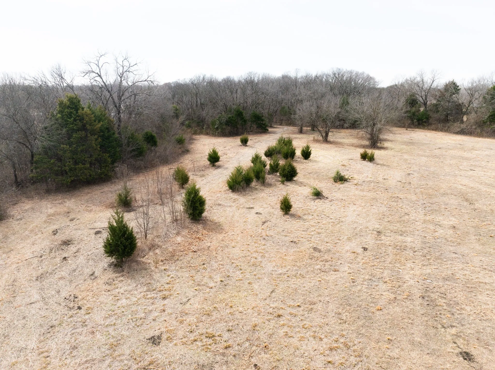 Unimproved Land For Sale in Dallas County , 1407 Ponderosa Trail, Sachse, Texas 75048, 0, 0, Garage spaces, 0 Sqft, built in 0, Price $1,225,000, mls#21173891, Real Estate Agent in Sachse, Homes For Sale in Dallas county, Homes For Sale in Sachse, Realtor in Sachse Texas, Real Estate Brokerage Independent Realty Texas, Luminita Cordes Realtor