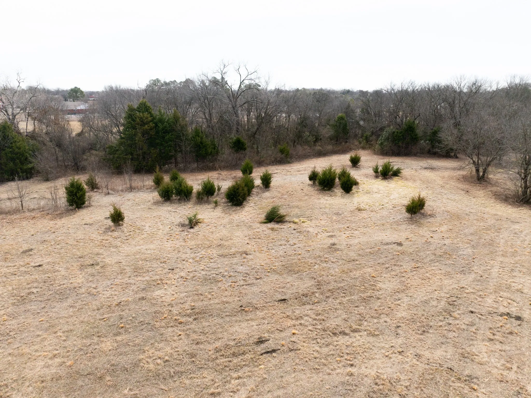 Unimproved Land For Sale in Dallas County , 1407 Ponderosa Trail, Sachse, Texas 75048, 0, 0, Garage spaces, 0 Sqft, built in 0, Price $1,225,000, mls#21173891, Real Estate Agent in Sachse, Homes For Sale in Dallas county, Homes For Sale in Sachse, Realtor in Sachse Texas, Real Estate Brokerage Independent Realty Texas, Luminita Cordes Realtor