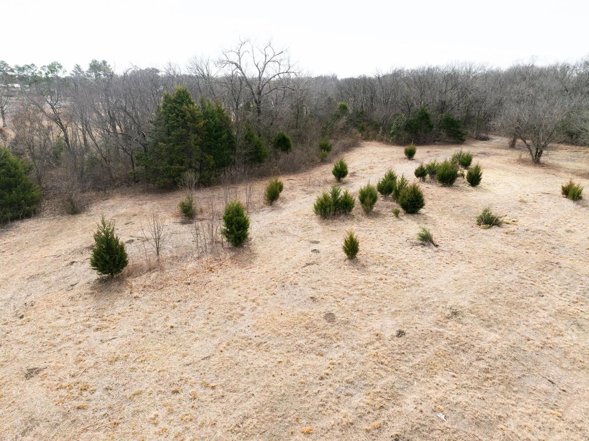 Unimproved Land For Sale in Dallas County , 1407 Ponderosa Trail, Sachse, Texas 75048, 0, 0, Garage spaces, 0 Sqft, built in 0, Price $1,225,000, mls#21173891, Real Estate Agent in Sachse, Homes For Sale in Dallas county, Homes For Sale in Sachse, Realtor in Sachse Texas, Real Estate Brokerage Independent Realty Texas, Luminita Cordes Realtor