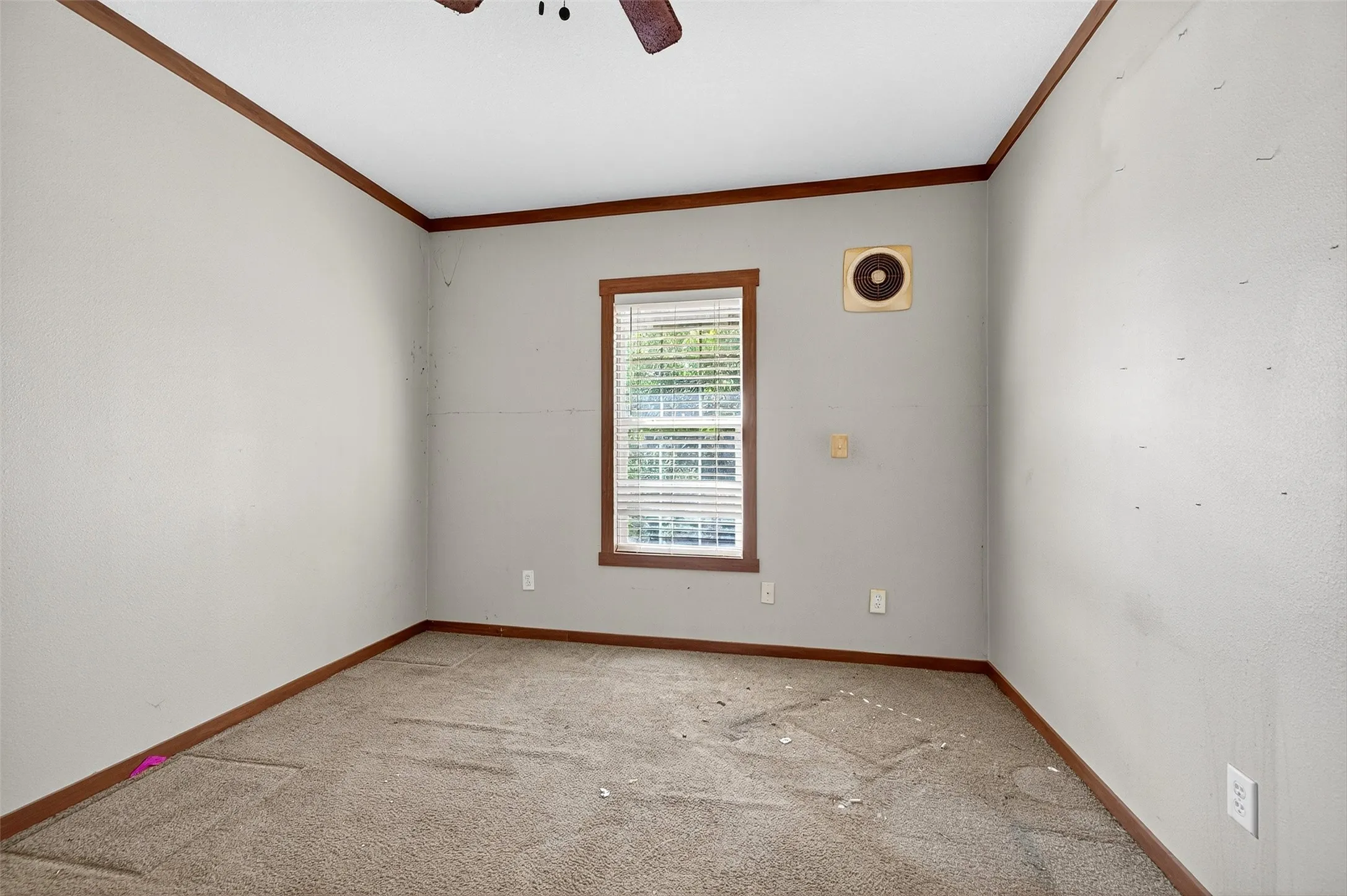 Carpeted spare room with crown molding and a ceiling fan