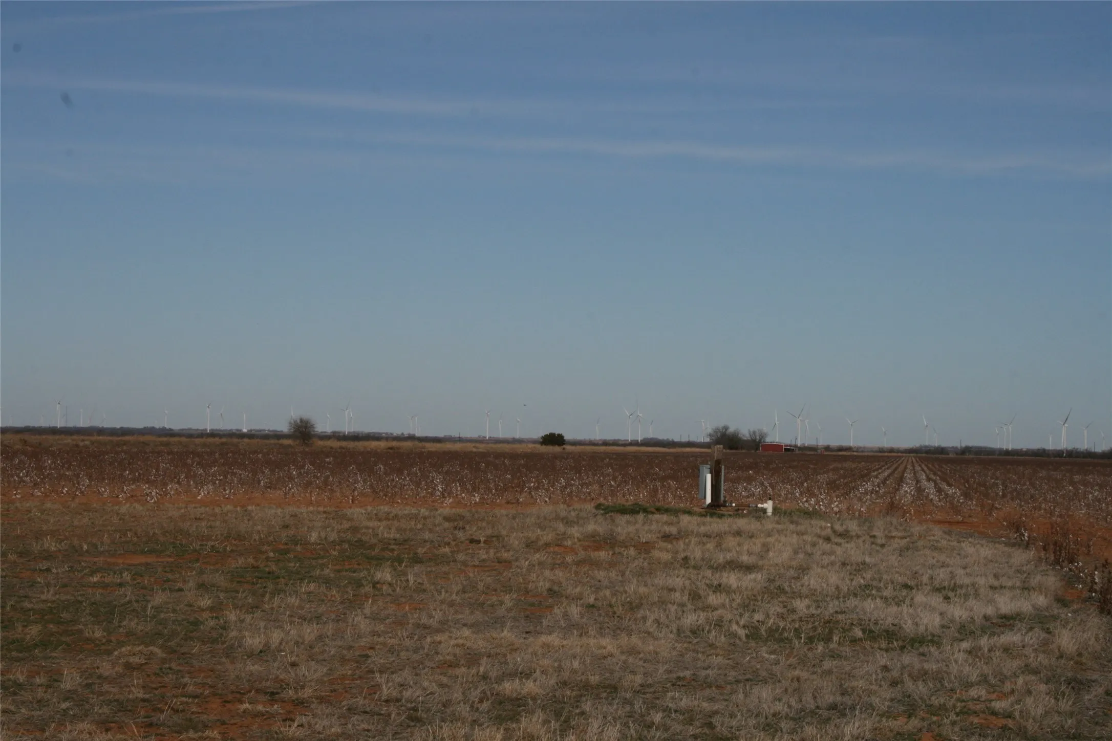 Farmland