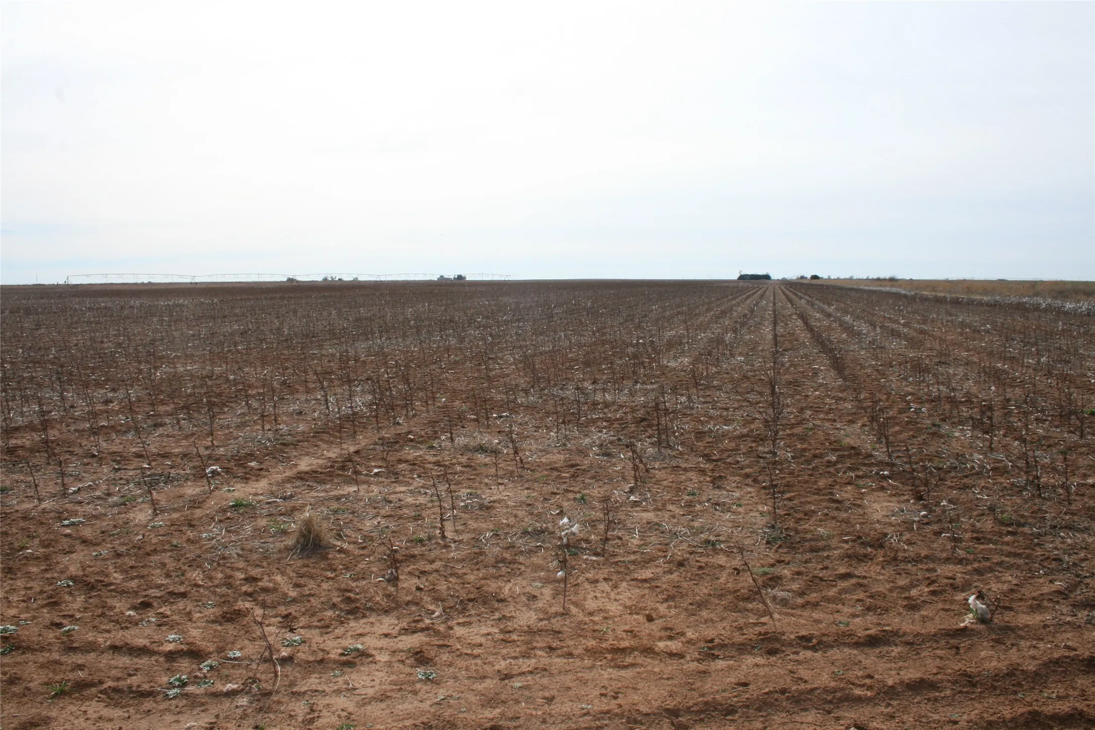 Farmland