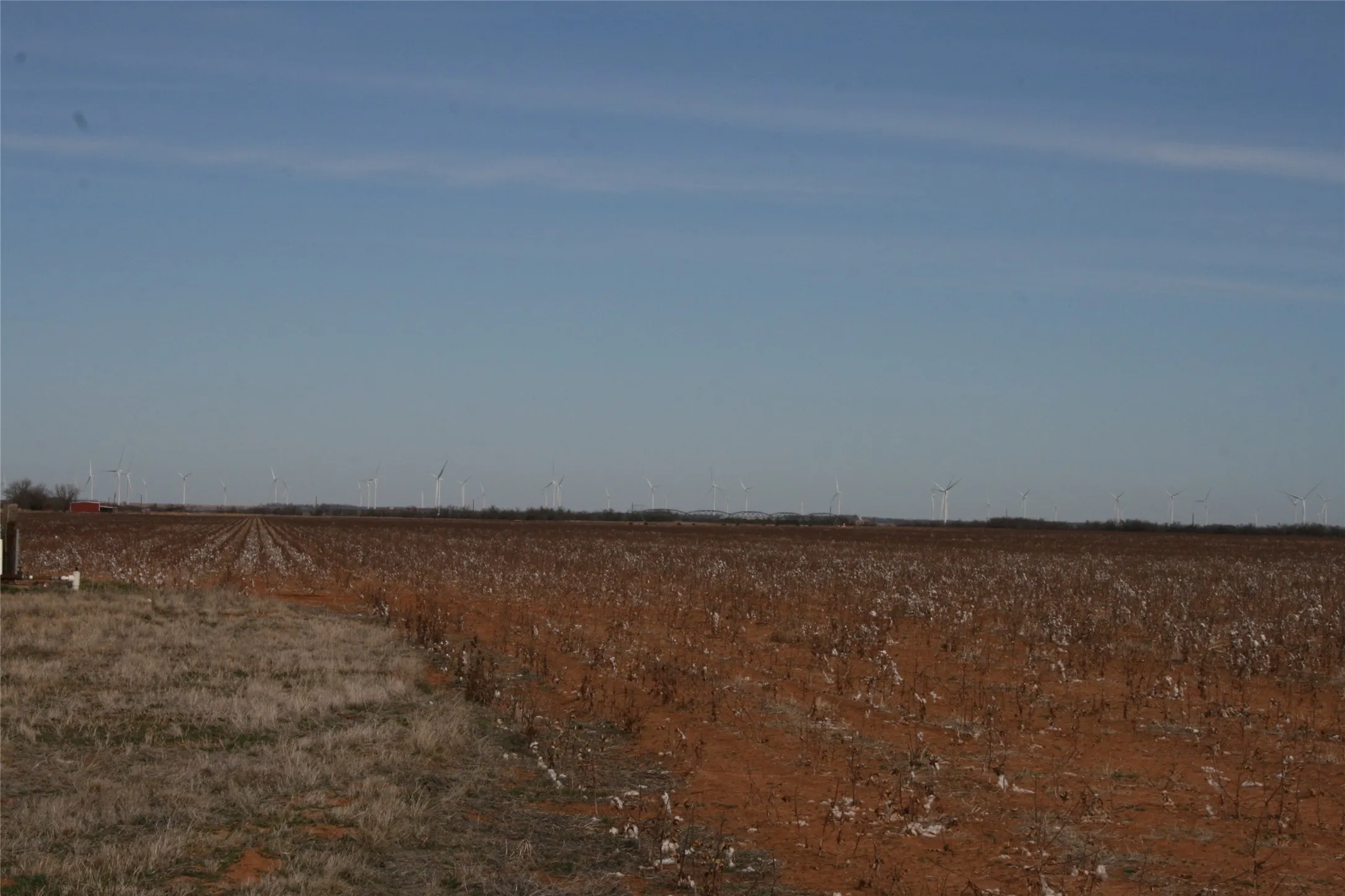 Farmland