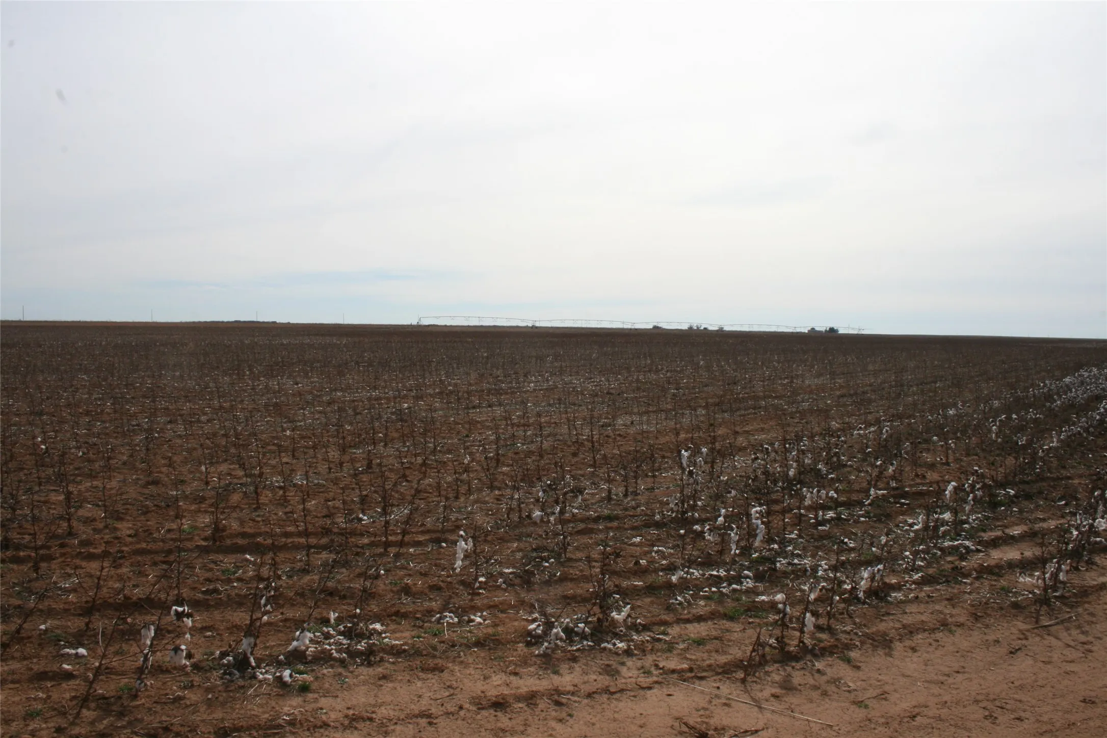 Farmland