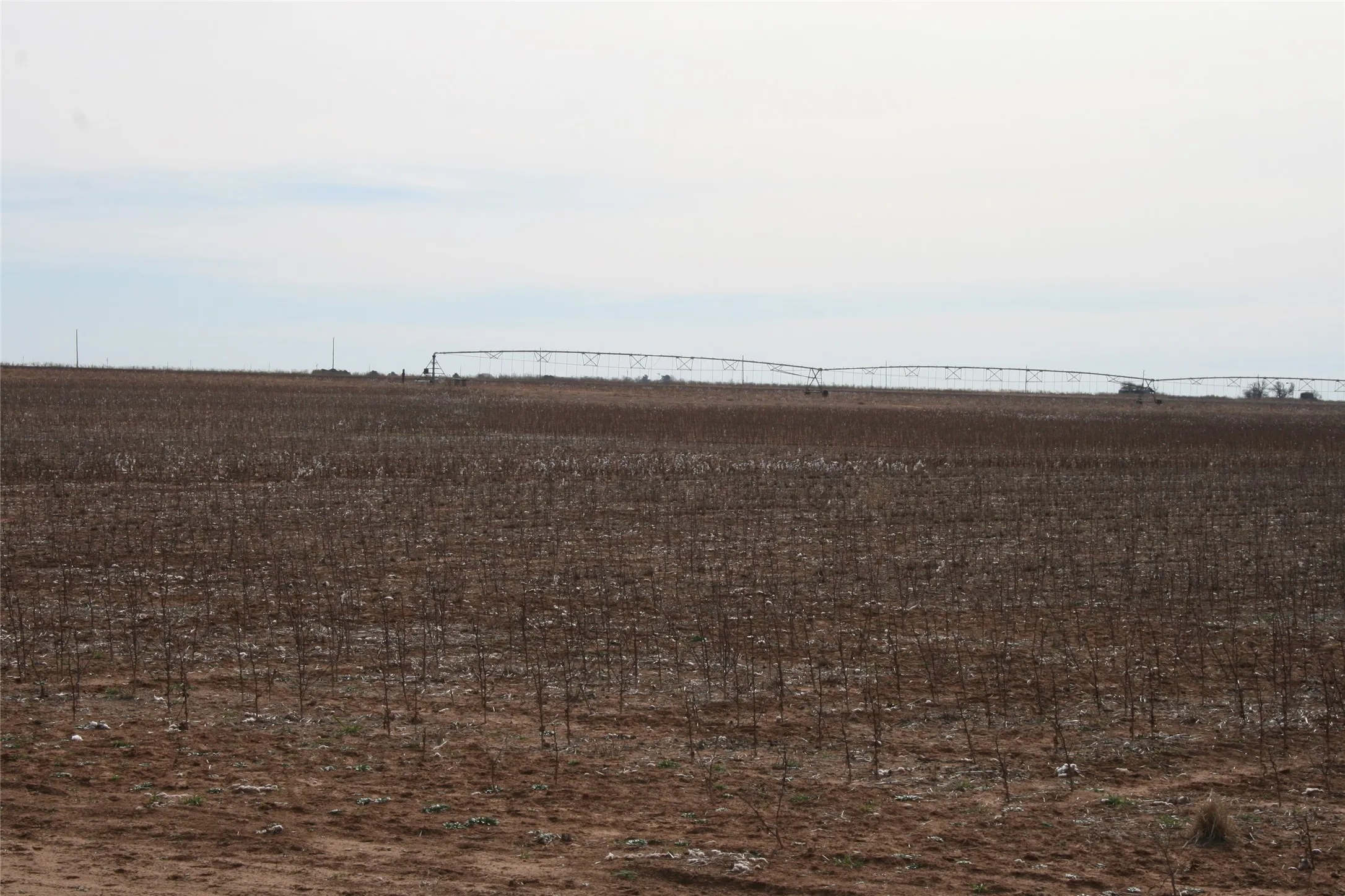 Farmland