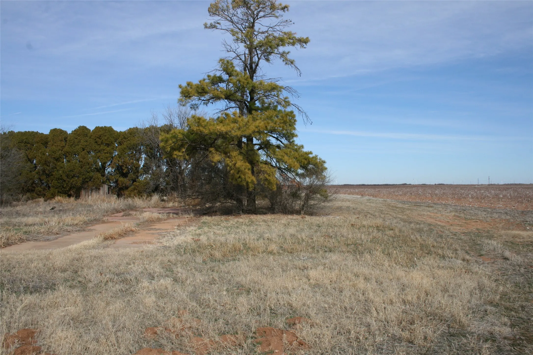 South Corner