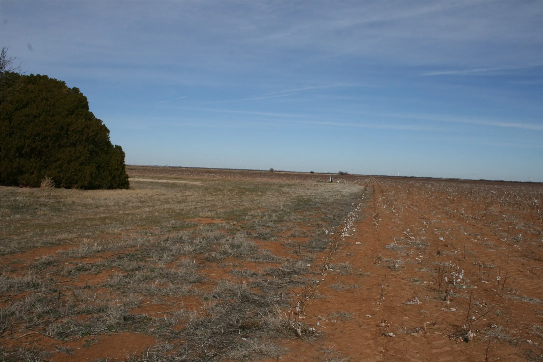 South end