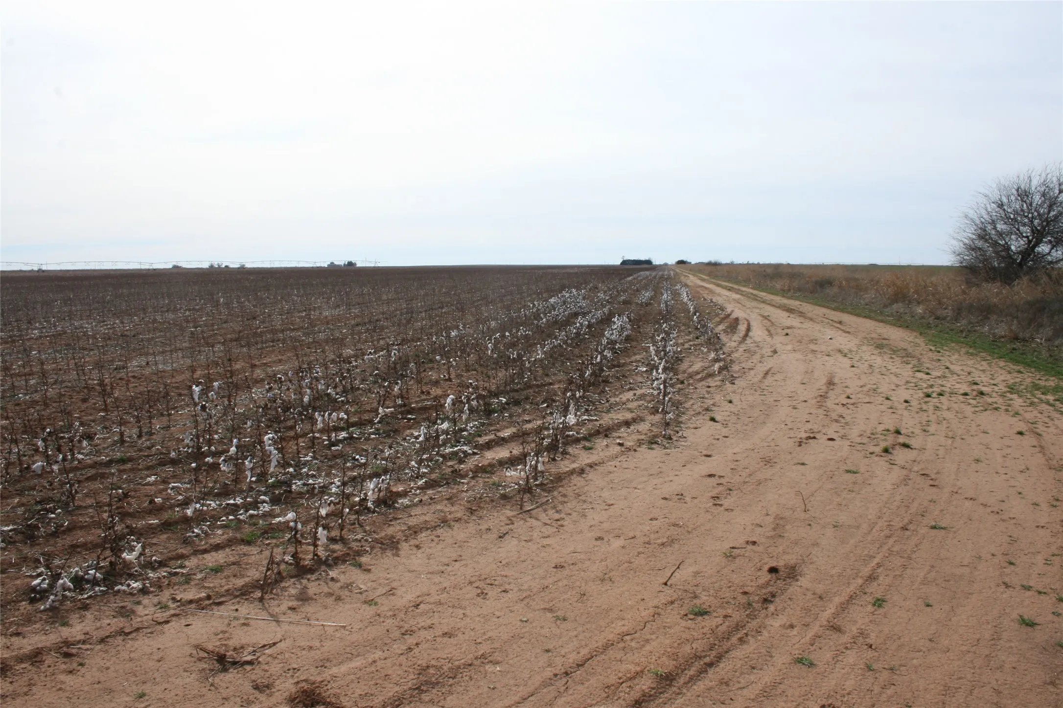 Farmland and deer tracks