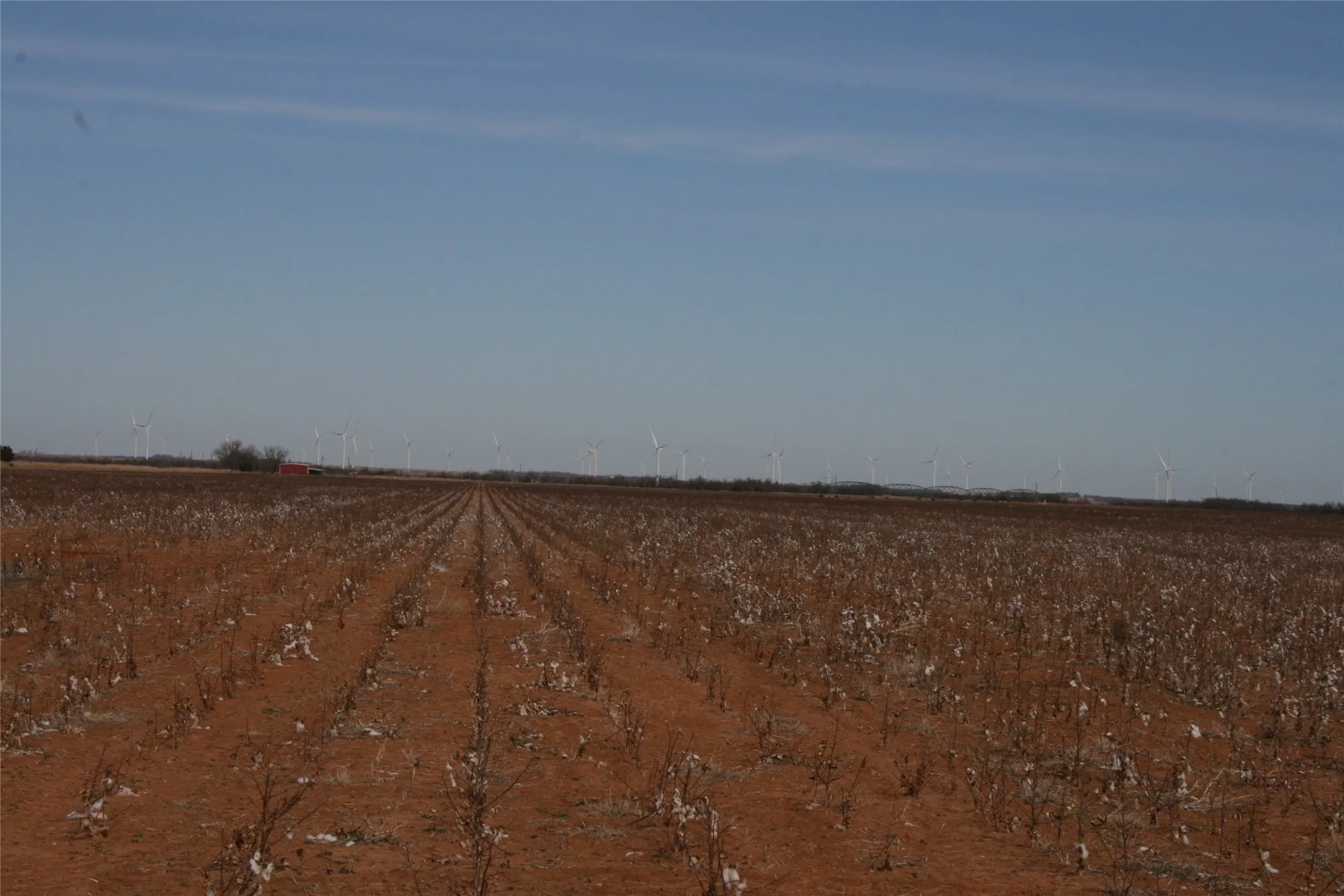Farmland