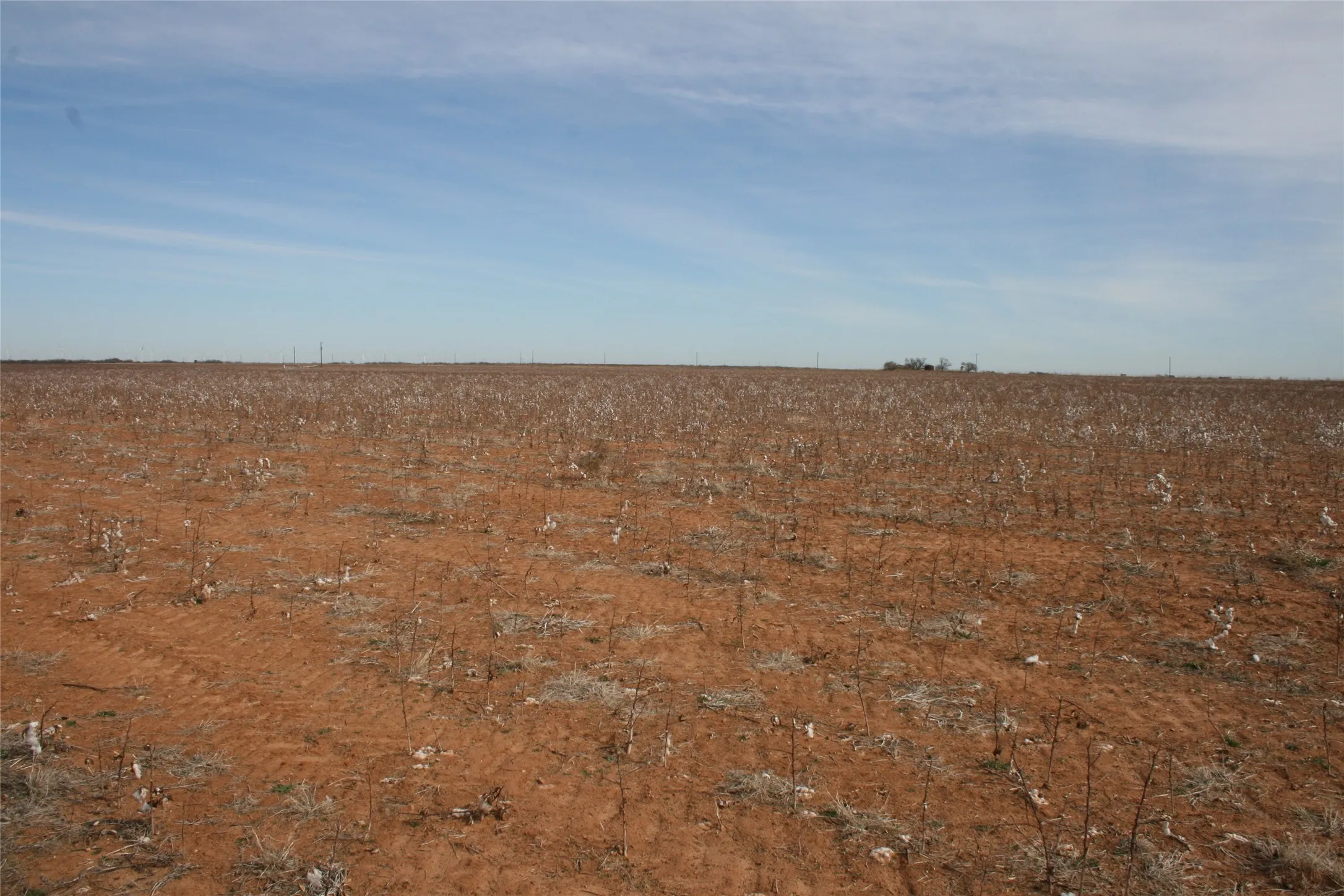 Farmland