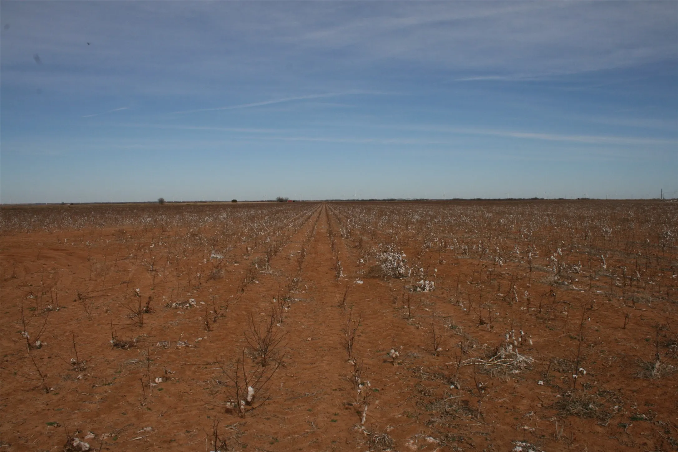 Farmland