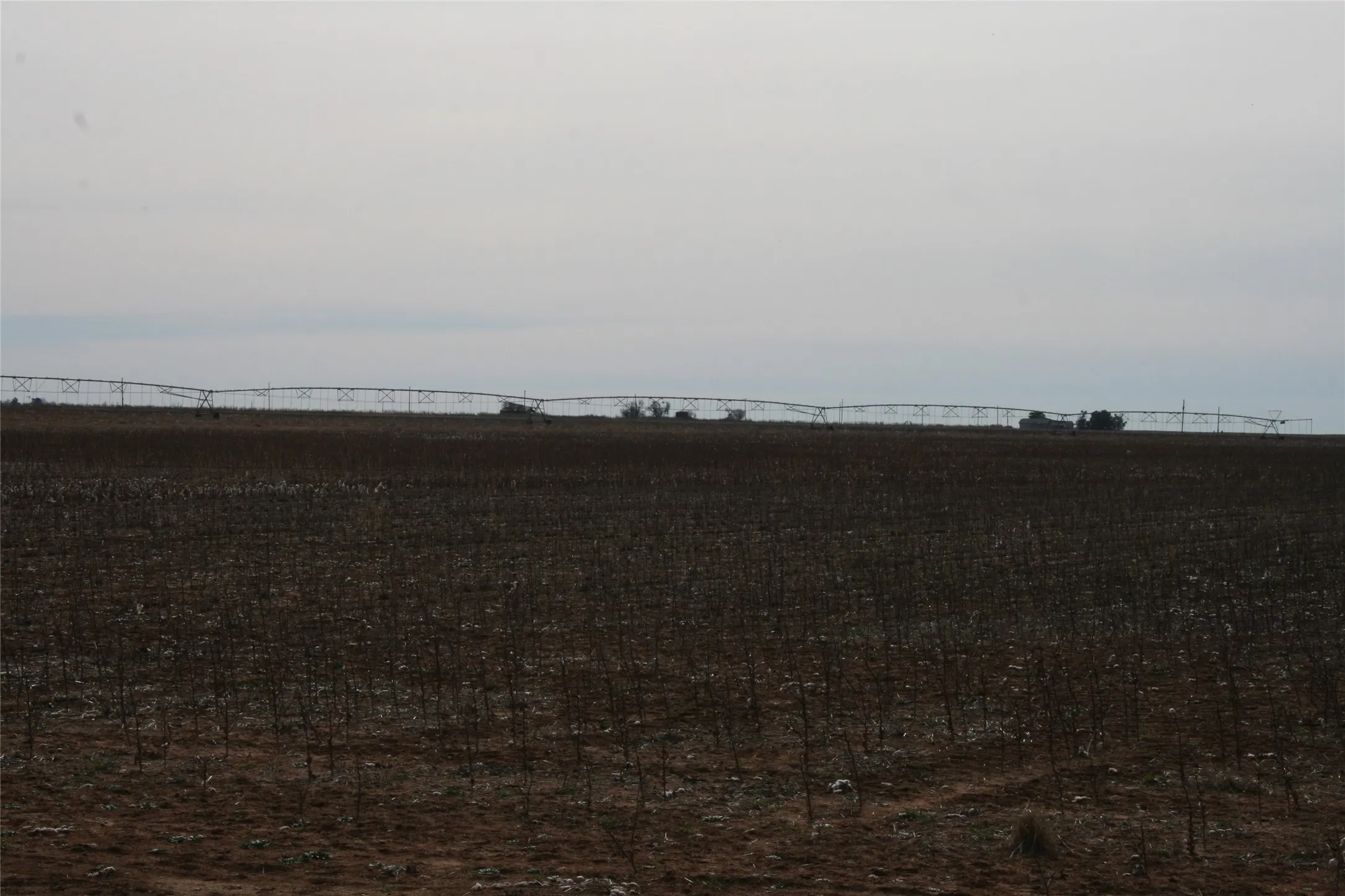 Farmland
