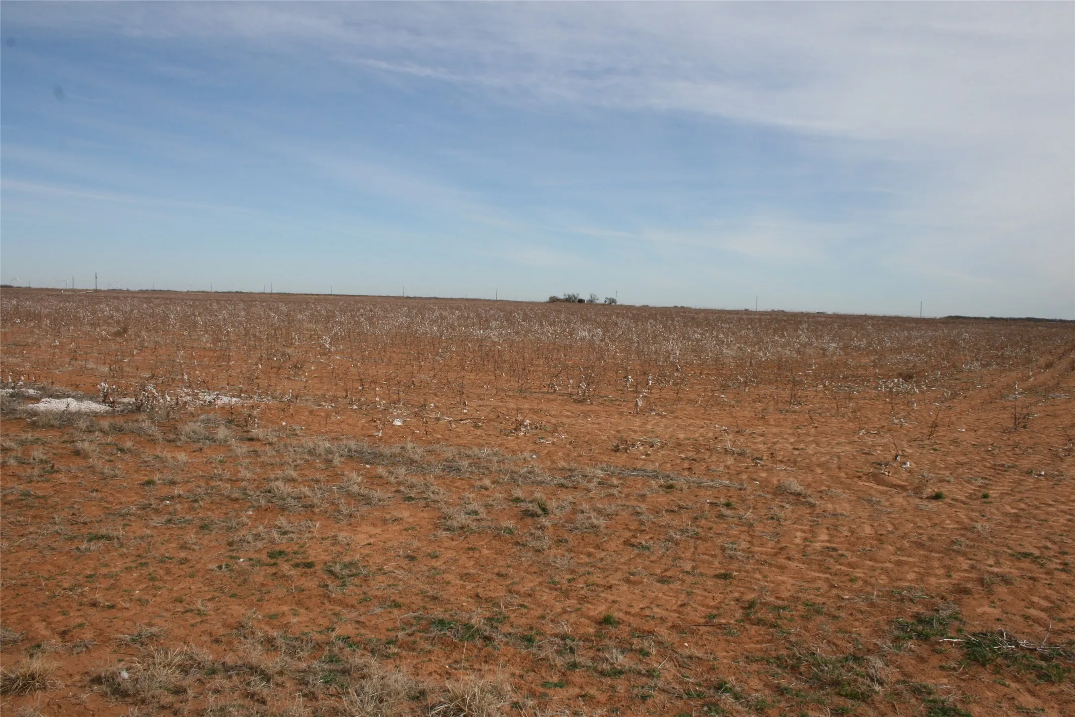 Farmland
