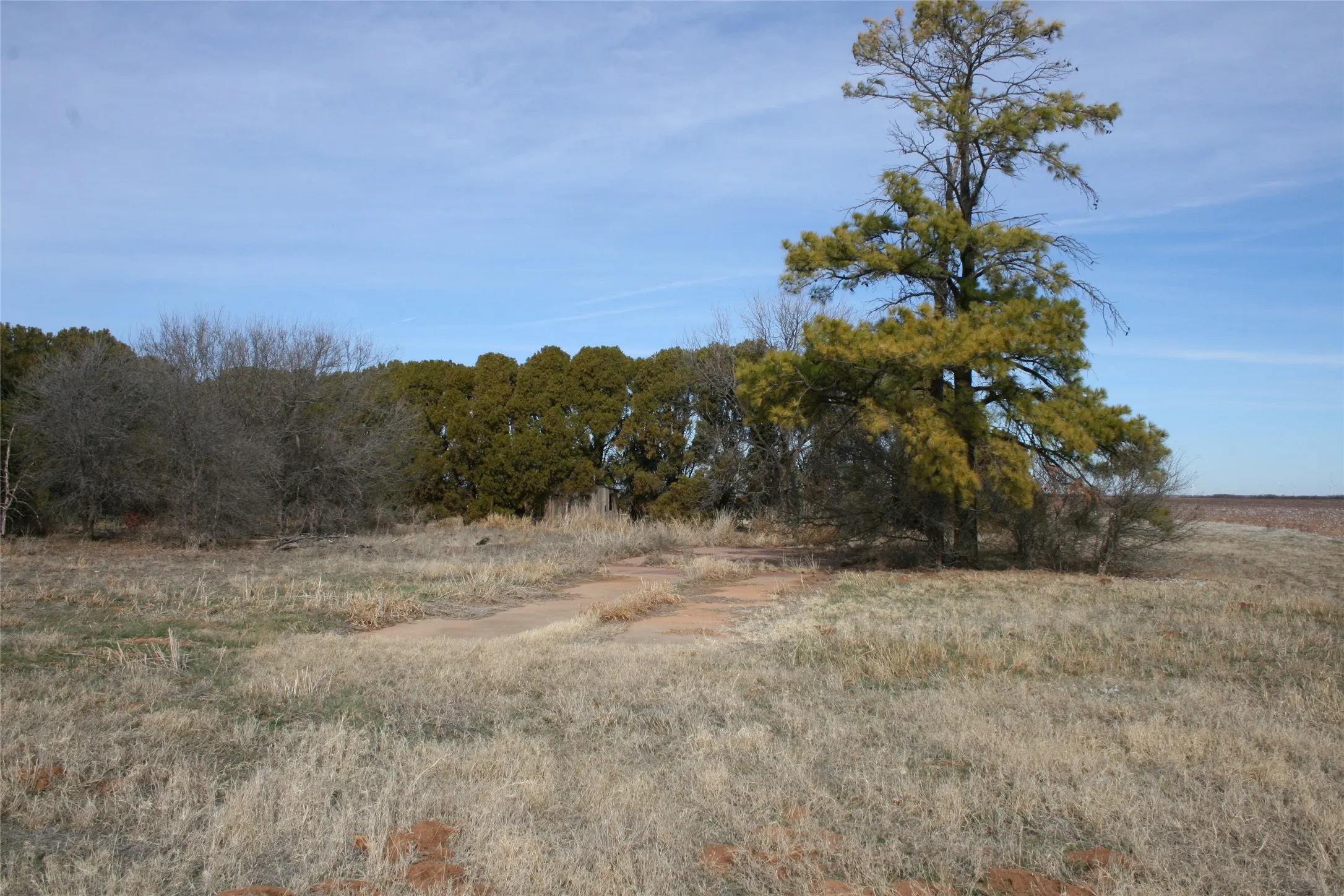 FM 266 and CR 4381