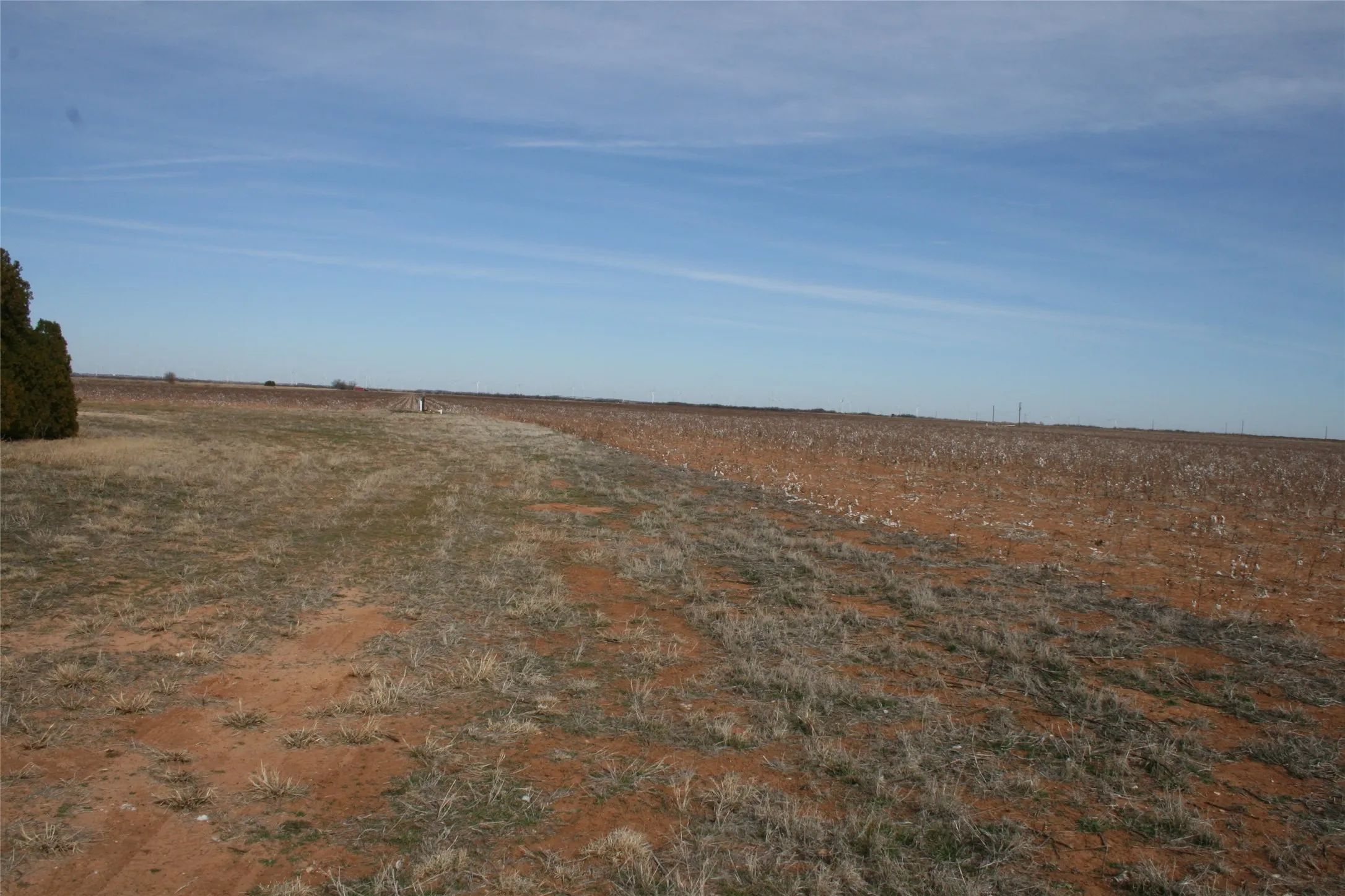 South section