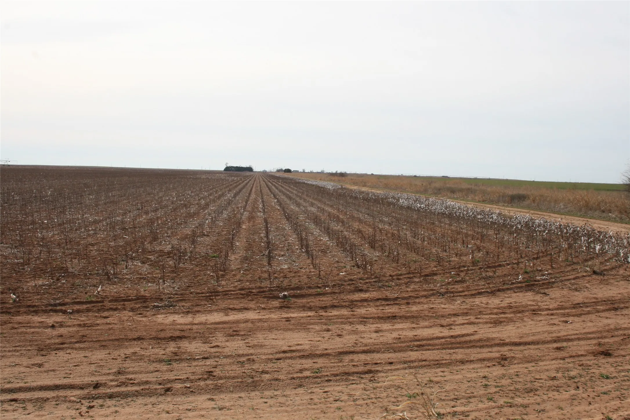Road around the field
