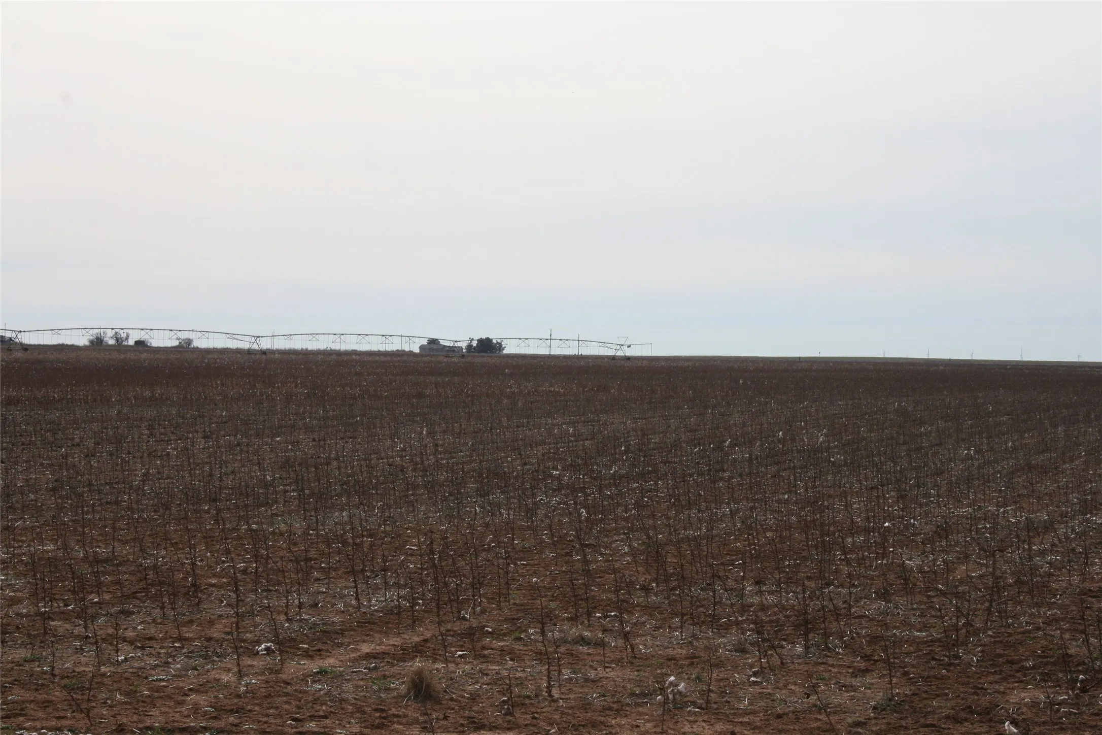 Farmland