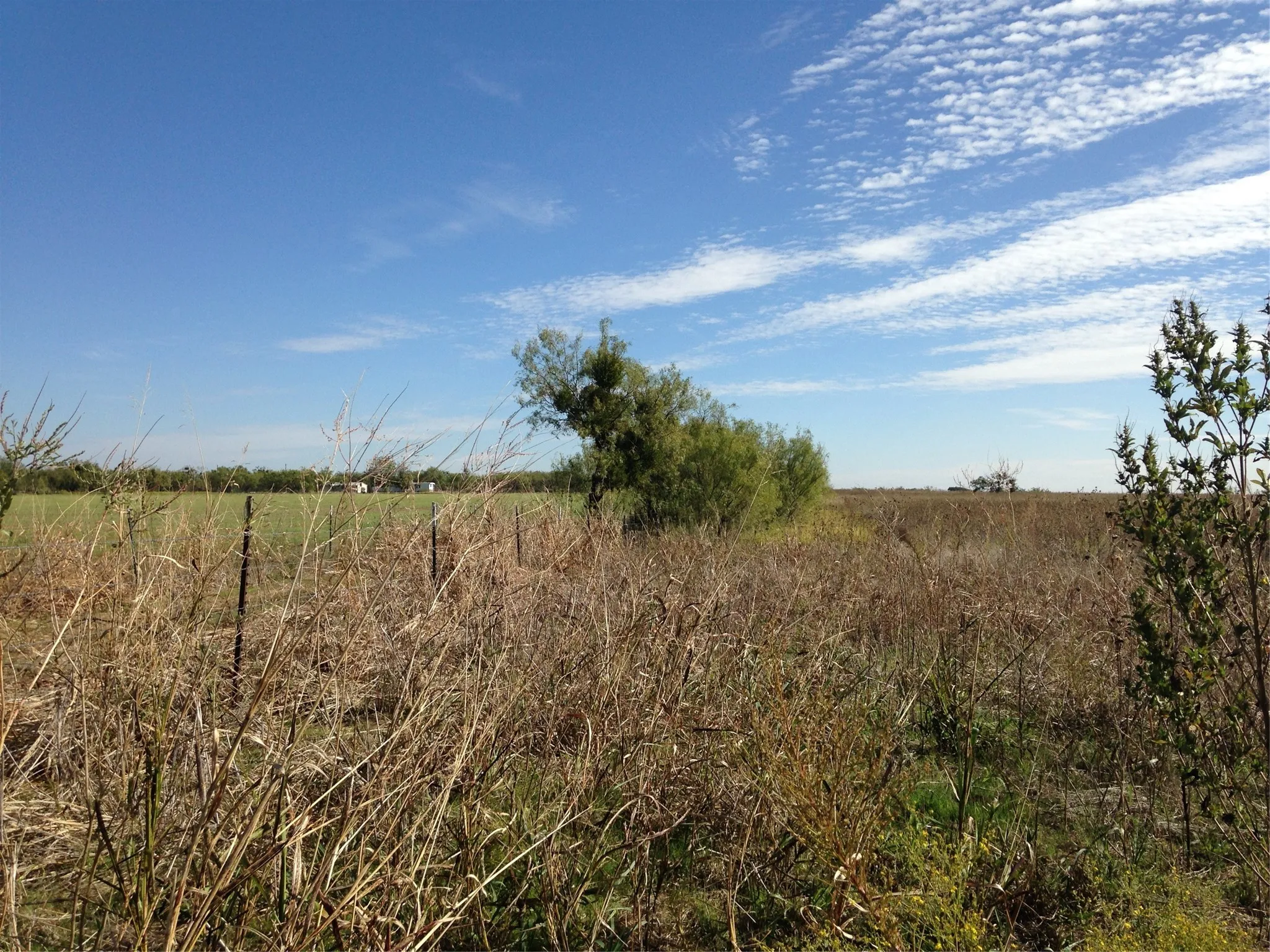 Improved Land For Sale in Callahan County , 4404 Fm 603, Clyde, Texas 79510, 0, 0, Garage spaces, 0 Sqft, built in 0, mls#21175729, Real Estate Agent in Clyde, Homes For Sale in Callahan county, Homes For Sale in Clyde, Realtor in Clyde Texas, Real Estate Brokerage Independent Realty Texas, Luminita Cordes Realtor