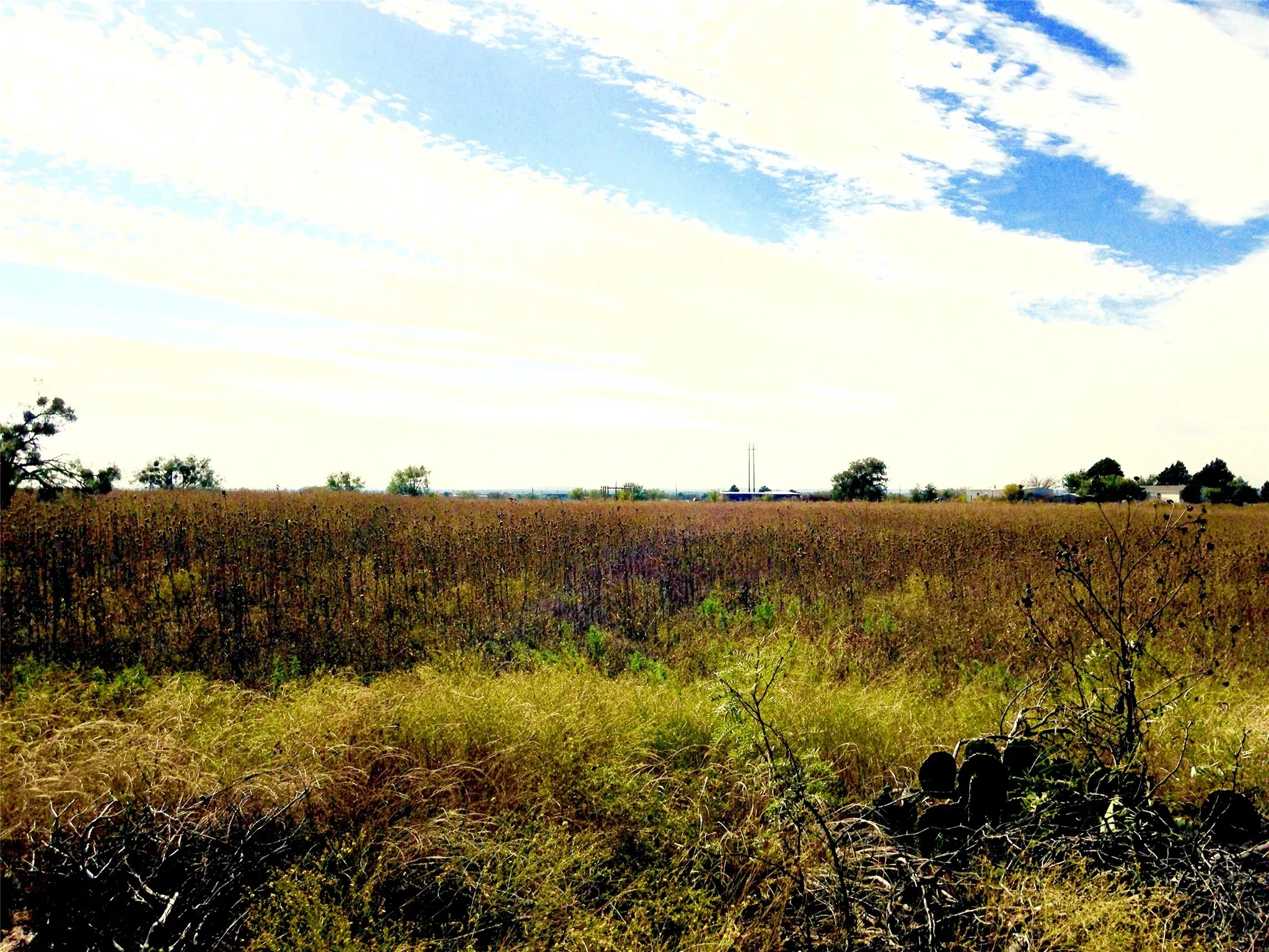 Improved Land For Sale in Callahan County , 4404 Fm 603, Clyde, Texas 79510, 0, 0, Garage spaces, 0 Sqft, built in 0, mls#21175729, Real Estate Agent in Clyde, Homes For Sale in Callahan county, Homes For Sale in Clyde, Realtor in Clyde Texas, Real Estate Brokerage Independent Realty Texas, Luminita Cordes Realtor
