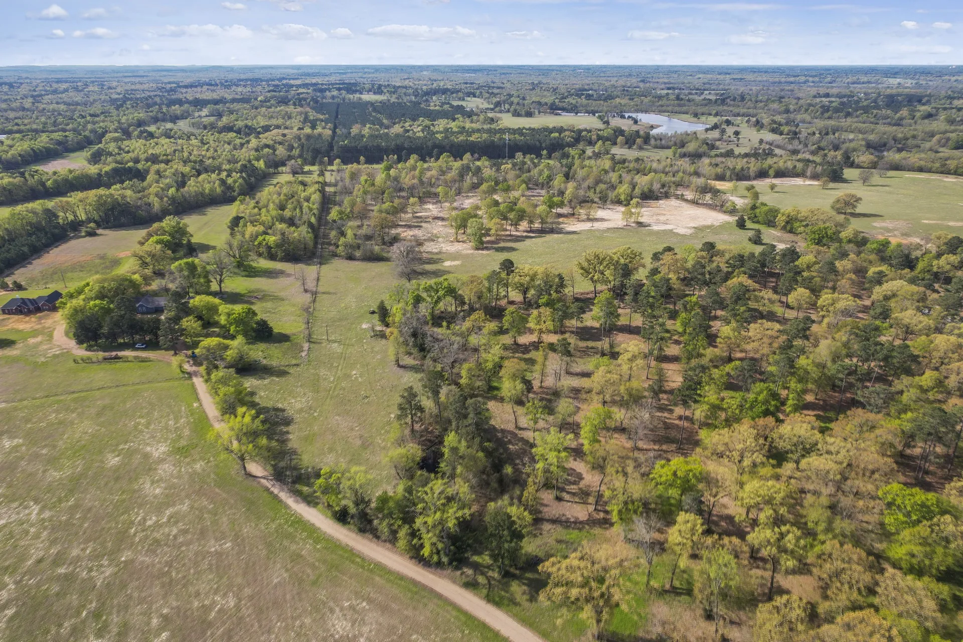 Unimproved Land For Sale in Titus County , 000 County Road 4663, Mt Pleasant, Texas 75455, 0, 0, Garage spaces, 0 Sqft, built in 0, mls#21175832, Real Estate Agent in Mt Pleasant, Homes For Sale in Titus county, Homes For Sale in Mt Pleasant, Realtor in Mt Pleasant Texas, Real Estate Brokerage Independent Realty Texas, Luminita Cordes Realtor