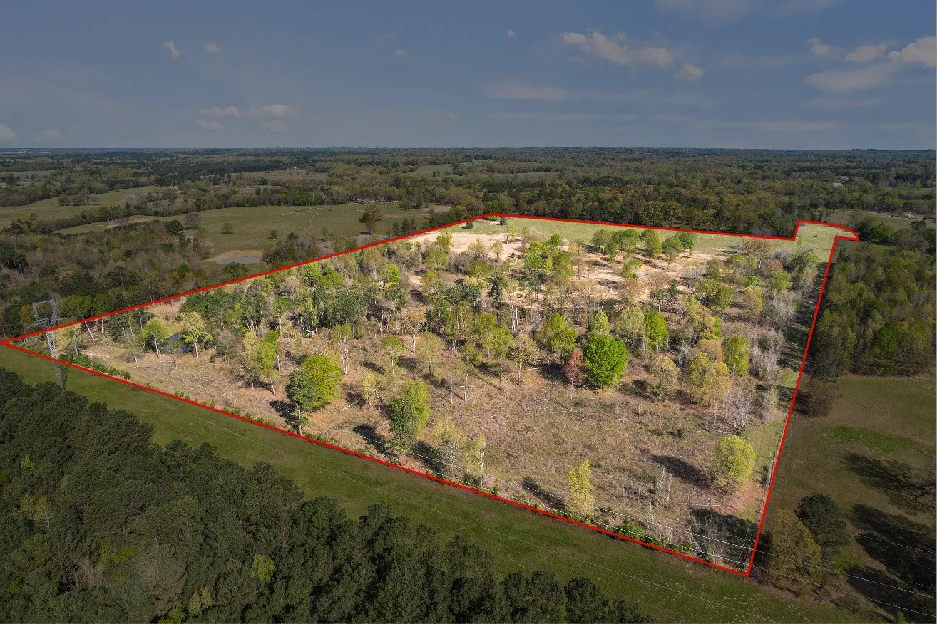 Unimproved Land For Sale in Titus County , 000 County Road 4663, Mt Pleasant, Texas 75455, 0, 0, Garage spaces, 0 Sqft, built in 0, mls#21175832, Real Estate Agent in Mt Pleasant, Homes For Sale in Titus county, Homes For Sale in Mt Pleasant, Realtor in Mt Pleasant Texas, Real Estate Brokerage Independent Realty Texas, Luminita Cordes Realtor