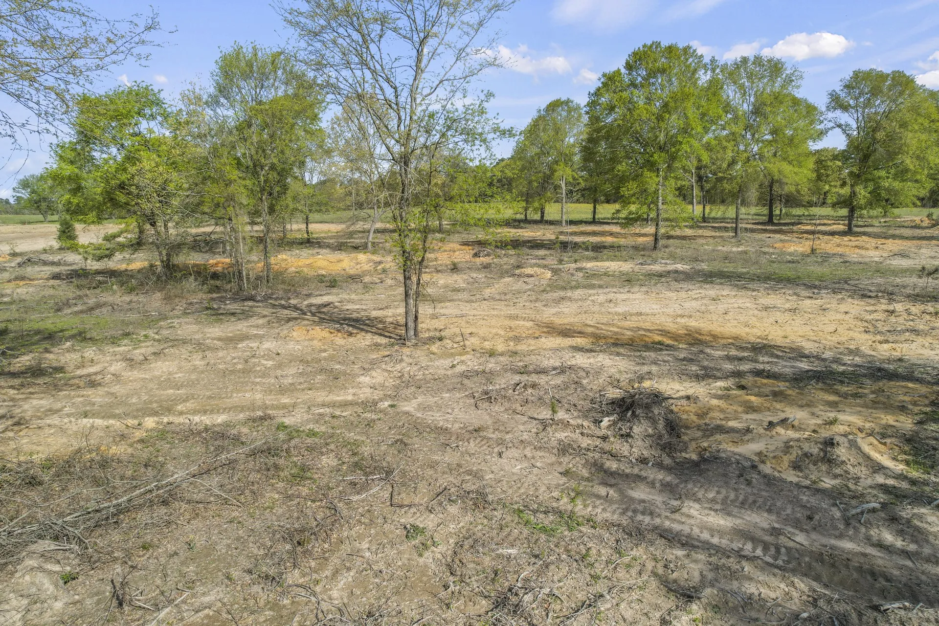 Unimproved Land For Sale in Titus County , 000 County Road 4663, Mt Pleasant, Texas 75455, 0, 0, Garage spaces, 0 Sqft, built in 0, mls#21175832, Real Estate Agent in Mt Pleasant, Homes For Sale in Titus county, Homes For Sale in Mt Pleasant, Realtor in Mt Pleasant Texas, Real Estate Brokerage Independent Realty Texas, Luminita Cordes Realtor