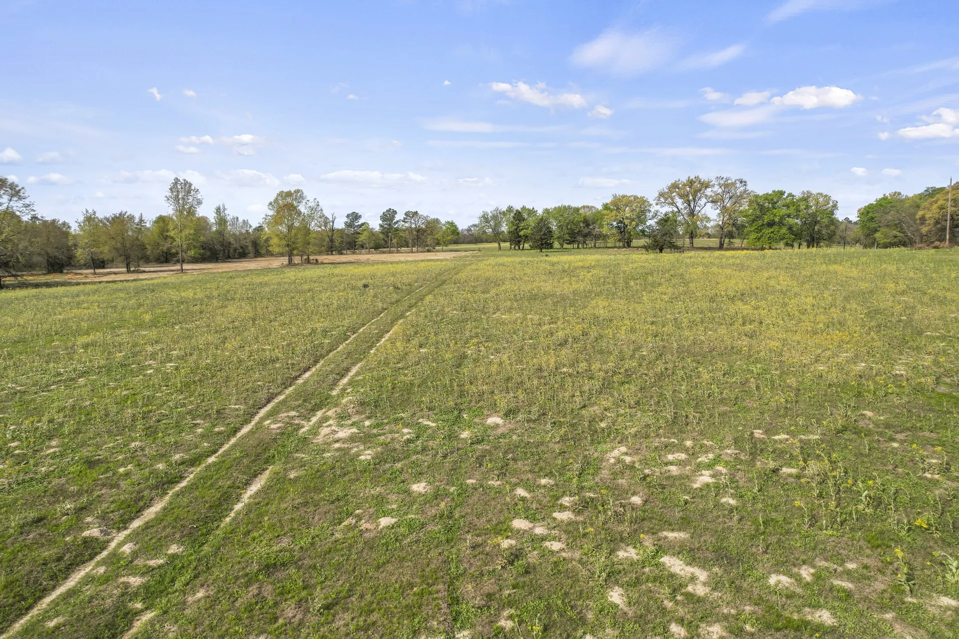 Unimproved Land For Sale in Titus County , 000 County Road 4663, Mt Pleasant, Texas 75455, 0, 0, Garage spaces, 0 Sqft, built in 0, mls#21175832, Real Estate Agent in Mt Pleasant, Homes For Sale in Titus county, Homes For Sale in Mt Pleasant, Realtor in Mt Pleasant Texas, Real Estate Brokerage Independent Realty Texas, Luminita Cordes Realtor
