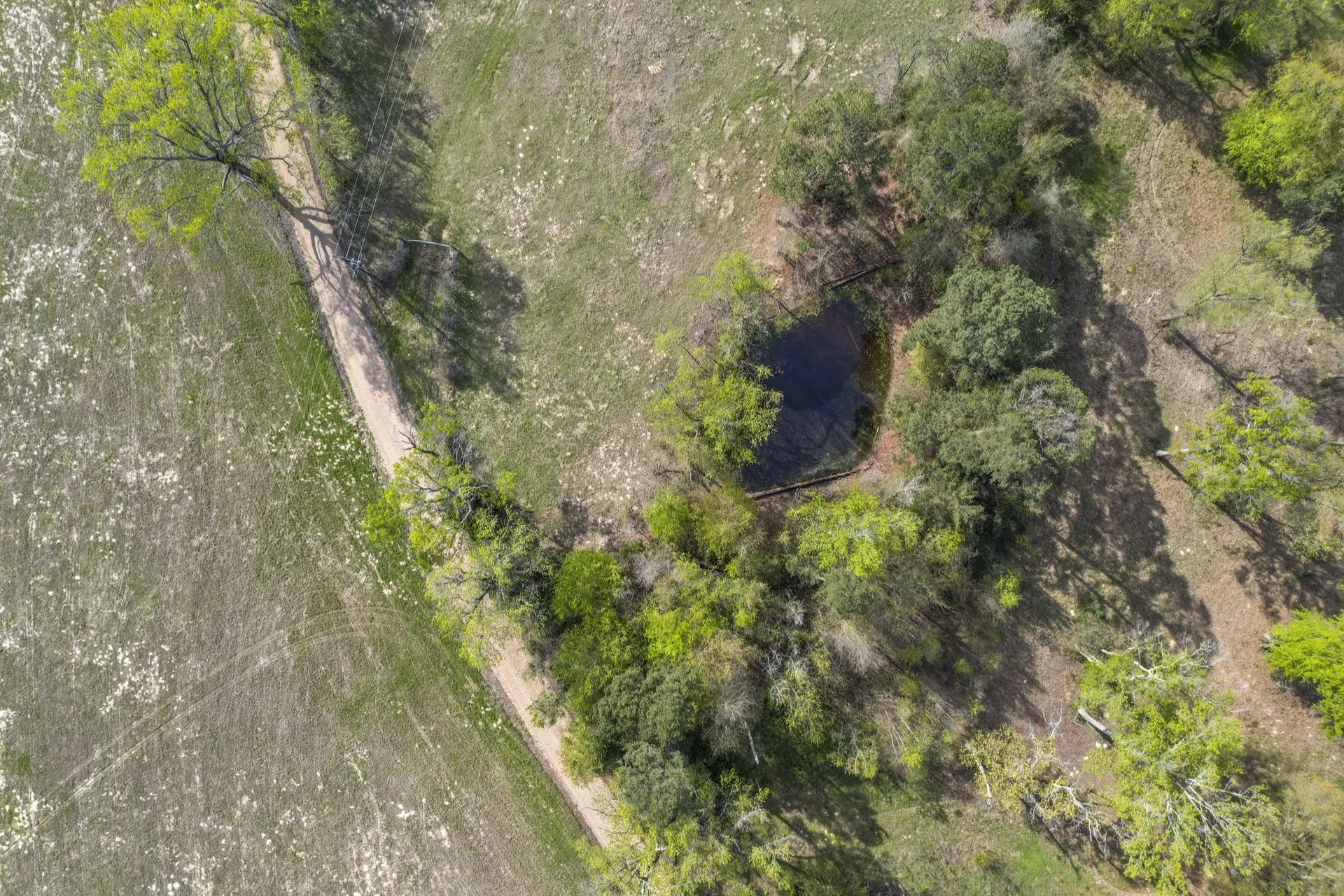 Unimproved Land For Sale in Titus County , 000 County Road 4663, Mt Pleasant, Texas 75455, 0, 0, Garage spaces, 0 Sqft, built in 0, mls#21175832, Real Estate Agent in Mt Pleasant, Homes For Sale in Titus county, Homes For Sale in Mt Pleasant, Realtor in Mt Pleasant Texas, Real Estate Brokerage Independent Realty Texas, Luminita Cordes Realtor