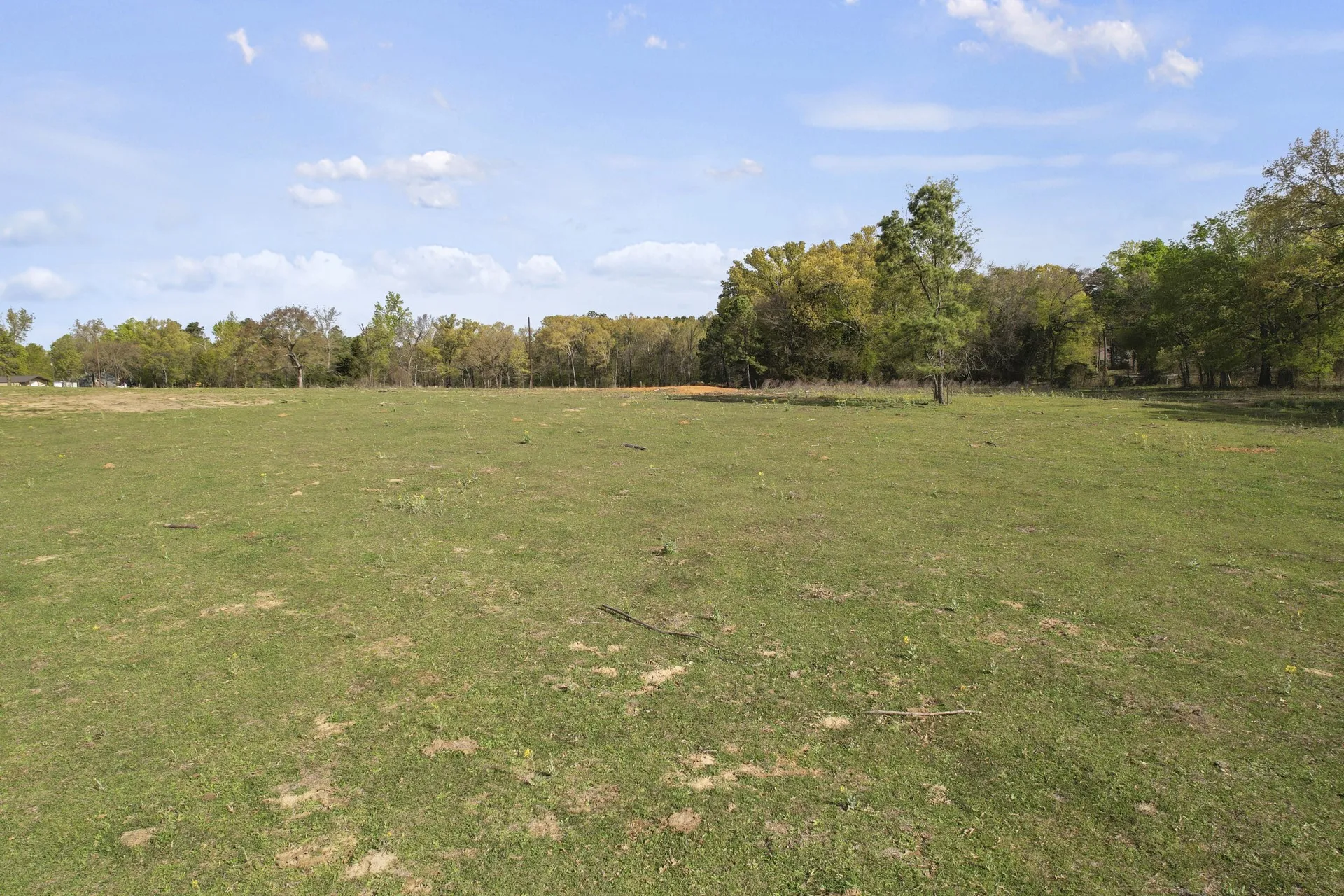 Unimproved Land For Sale in Titus County , 000 County Road 4663, Mt Pleasant, Texas 75455, 0, 0, Garage spaces, 0 Sqft, built in 0, mls#21175832, Real Estate Agent in Mt Pleasant, Homes For Sale in Titus county, Homes For Sale in Mt Pleasant, Realtor in Mt Pleasant Texas, Real Estate Brokerage Independent Realty Texas, Luminita Cordes Realtor