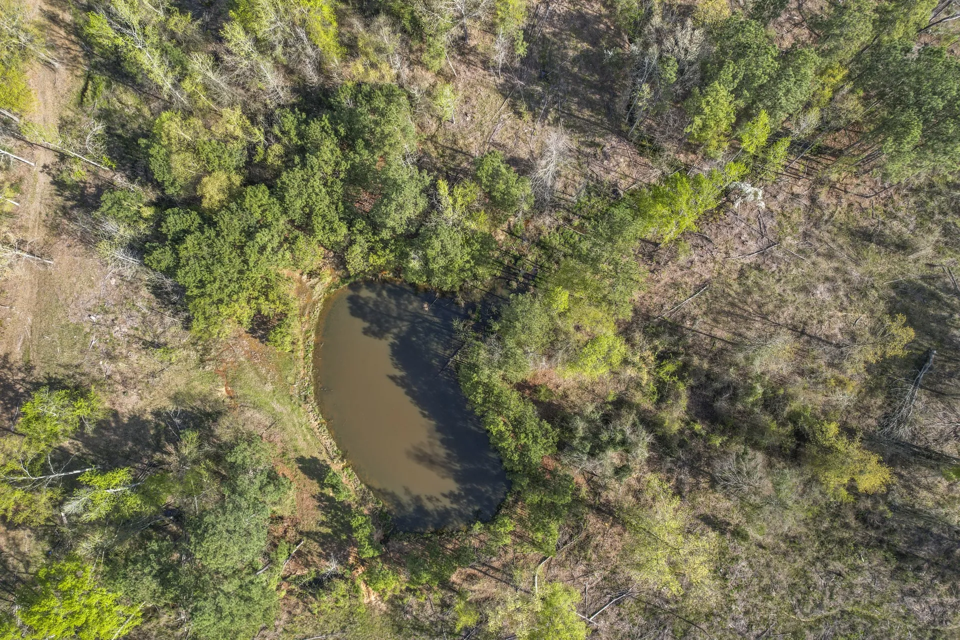 Unimproved Land For Sale in Titus County , 000 County Road 4663, Mt Pleasant, Texas 75455, 0, 0, Garage spaces, 0 Sqft, built in 0, mls#21175832, Real Estate Agent in Mt Pleasant, Homes For Sale in Titus county, Homes For Sale in Mt Pleasant, Realtor in Mt Pleasant Texas, Real Estate Brokerage Independent Realty Texas, Luminita Cordes Realtor