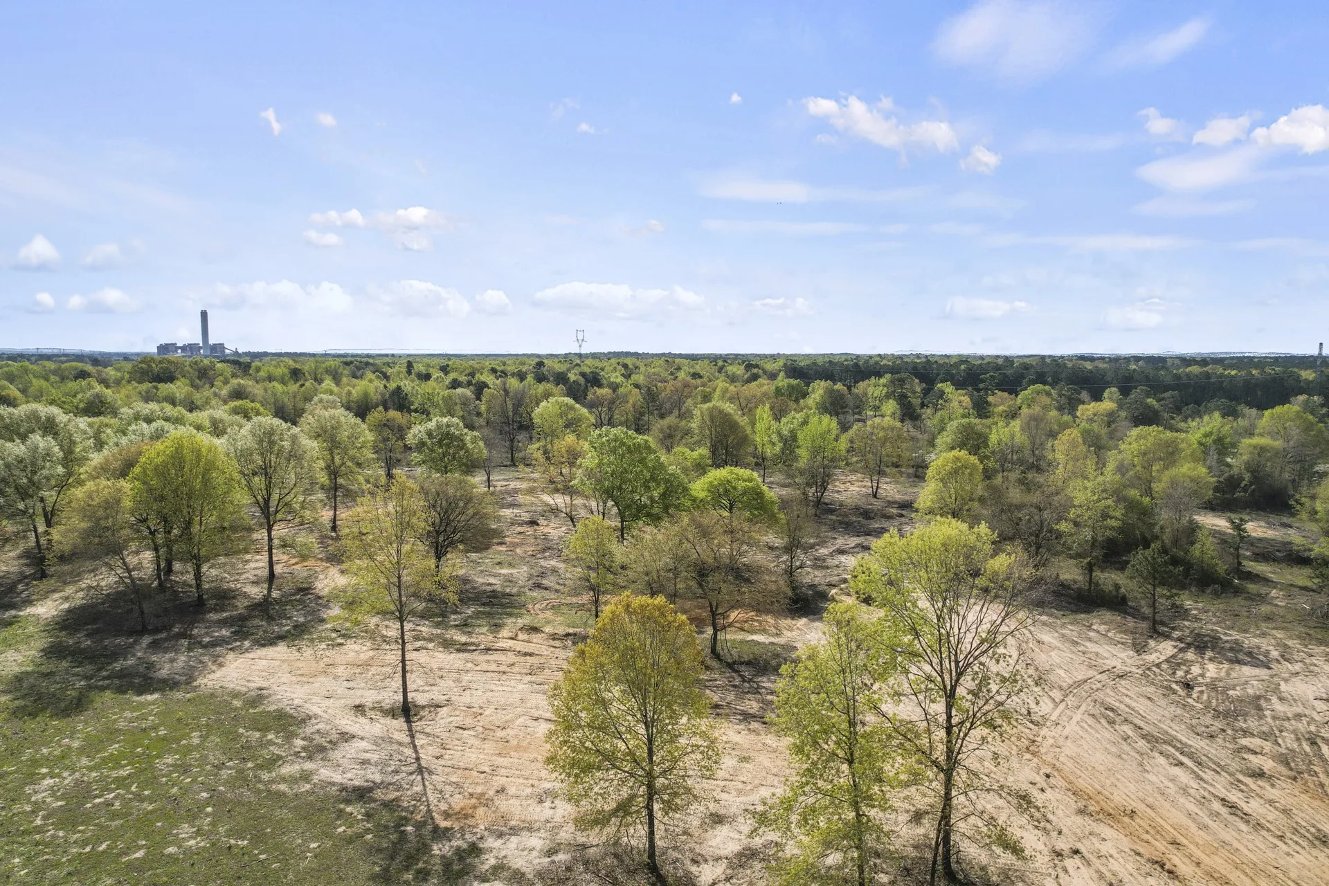 Unimproved Land For Sale in Titus County , 000 County Road 4663, Mt Pleasant, Texas 75455, 0, 0, Garage spaces, 0 Sqft, built in 0, mls#21175832, Real Estate Agent in Mt Pleasant, Homes For Sale in Titus county, Homes For Sale in Mt Pleasant, Realtor in Mt Pleasant Texas, Real Estate Brokerage Independent Realty Texas, Luminita Cordes Realtor