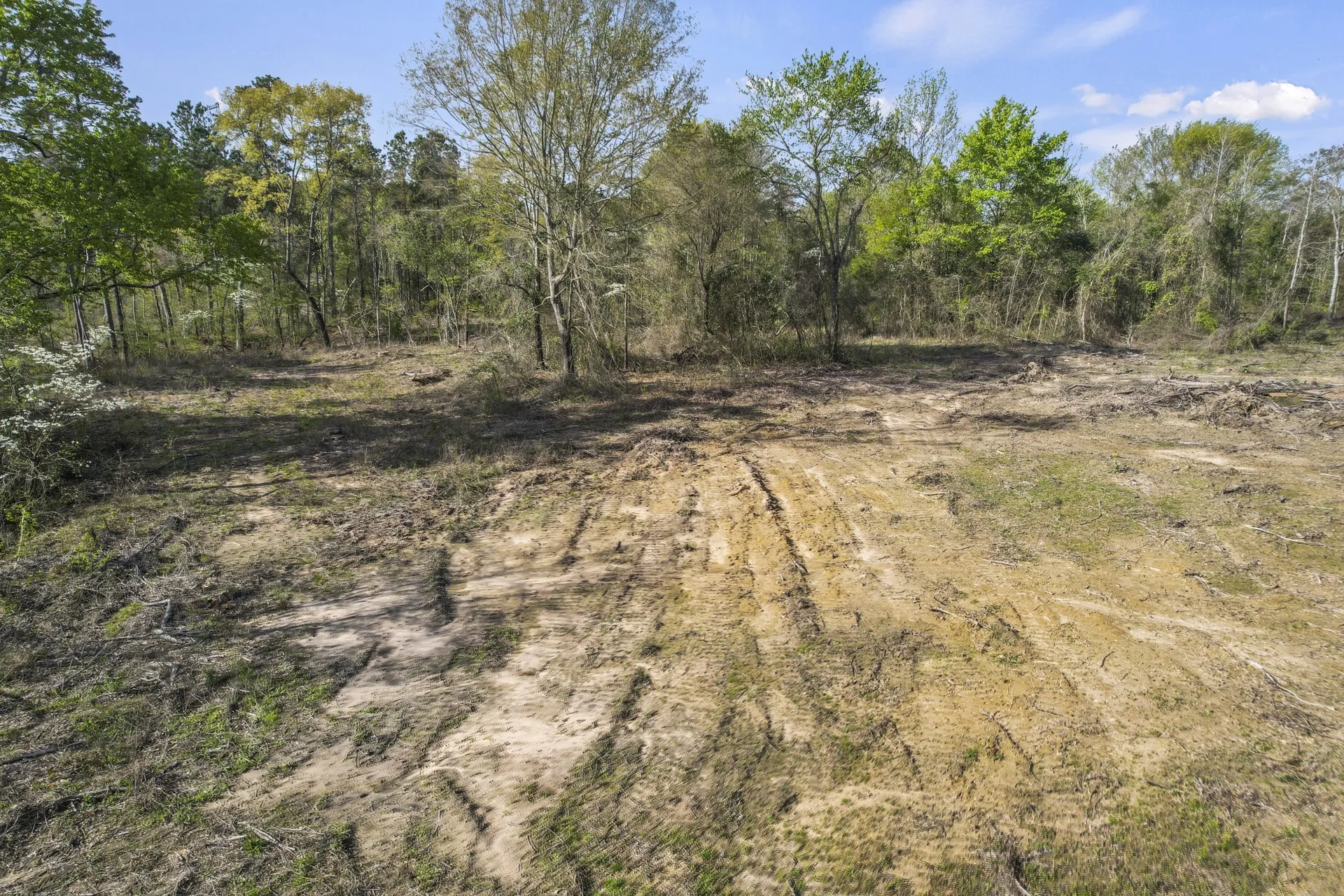 Unimproved Land For Sale in Titus County , 000 County Road 4663, Mt Pleasant, Texas 75455, 0, 0, Garage spaces, 0 Sqft, built in 0, mls#21175832, Real Estate Agent in Mt Pleasant, Homes For Sale in Titus county, Homes For Sale in Mt Pleasant, Realtor in Mt Pleasant Texas, Real Estate Brokerage Independent Realty Texas, Luminita Cordes Realtor