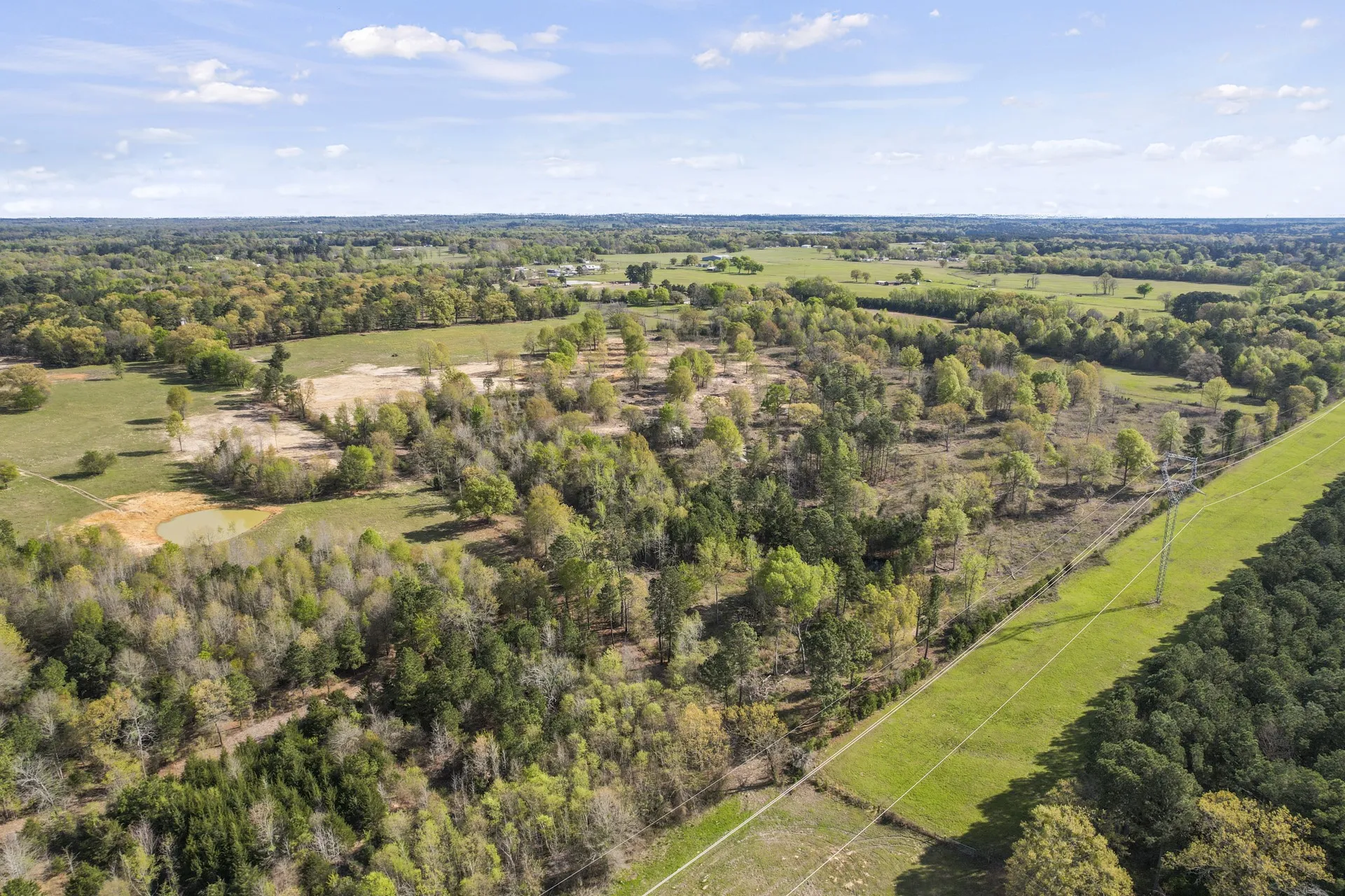 Unimproved Land For Sale in Titus County , 000 County Road 4663, Mt Pleasant, Texas 75455, 0, 0, Garage spaces, 0 Sqft, built in 0, mls#21175832, Real Estate Agent in Mt Pleasant, Homes For Sale in Titus county, Homes For Sale in Mt Pleasant, Realtor in Mt Pleasant Texas, Real Estate Brokerage Independent Realty Texas, Luminita Cordes Realtor