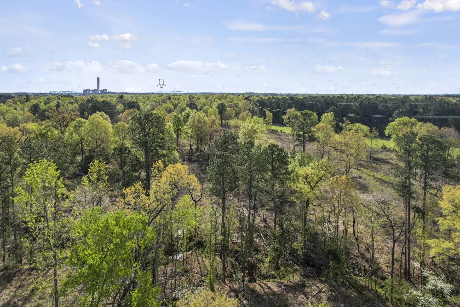 Unimproved Land For Sale in Titus County , 000 County Road 4663, Mt Pleasant, Texas 75455, 0, 0, Garage spaces, 0 Sqft, built in 0, mls#21175832, Real Estate Agent in Mt Pleasant, Homes For Sale in Titus county, Homes For Sale in Mt Pleasant, Realtor in Mt Pleasant Texas, Real Estate Brokerage Independent Realty Texas, Luminita Cordes Realtor