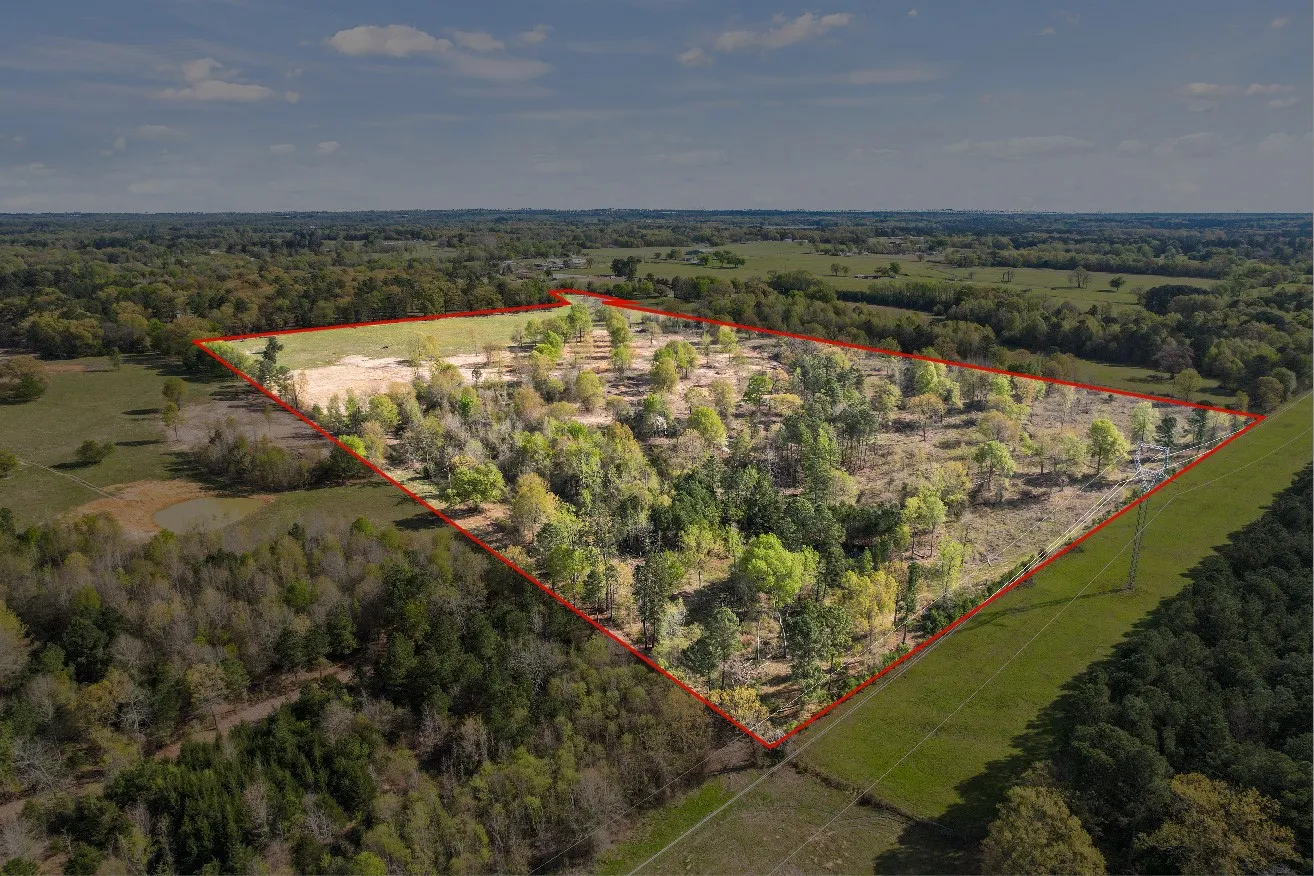 Unimproved Land For Sale in Titus County , 000 County Road 4663, Mt Pleasant, Texas 75455, 0, 0, Garage spaces, 0 Sqft, built in 0, mls#21175832, Real Estate Agent in Mt Pleasant, Homes For Sale in Titus county, Homes For Sale in Mt Pleasant, Realtor in Mt Pleasant Texas, Real Estate Brokerage Independent Realty Texas, Luminita Cordes Realtor