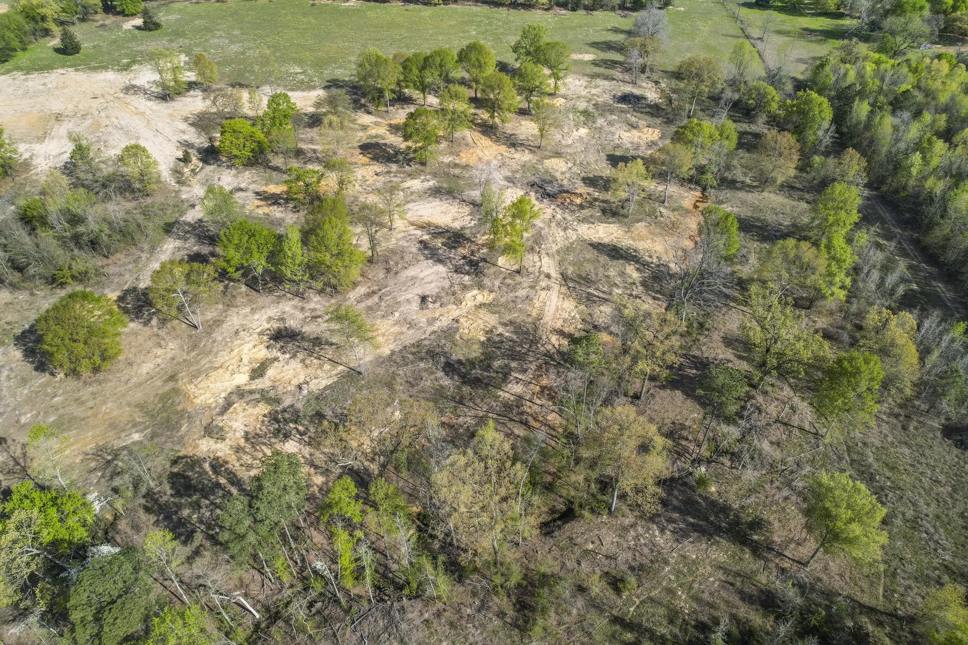 Unimproved Land For Sale in Titus County , 000 County Road 4663, Mt Pleasant, Texas 75455, 0, 0, Garage spaces, 0 Sqft, built in 0, mls#21175832, Real Estate Agent in Mt Pleasant, Homes For Sale in Titus county, Homes For Sale in Mt Pleasant, Realtor in Mt Pleasant Texas, Real Estate Brokerage Independent Realty Texas, Luminita Cordes Realtor