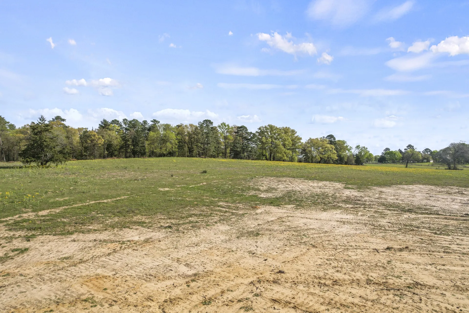 Unimproved Land For Sale in Titus County , 000 County Road 4663, Mt Pleasant, Texas 75455, 0, 0, Garage spaces, 0 Sqft, built in 0, mls#21175832, Real Estate Agent in Mt Pleasant, Homes For Sale in Titus county, Homes For Sale in Mt Pleasant, Realtor in Mt Pleasant Texas, Real Estate Brokerage Independent Realty Texas, Luminita Cordes Realtor