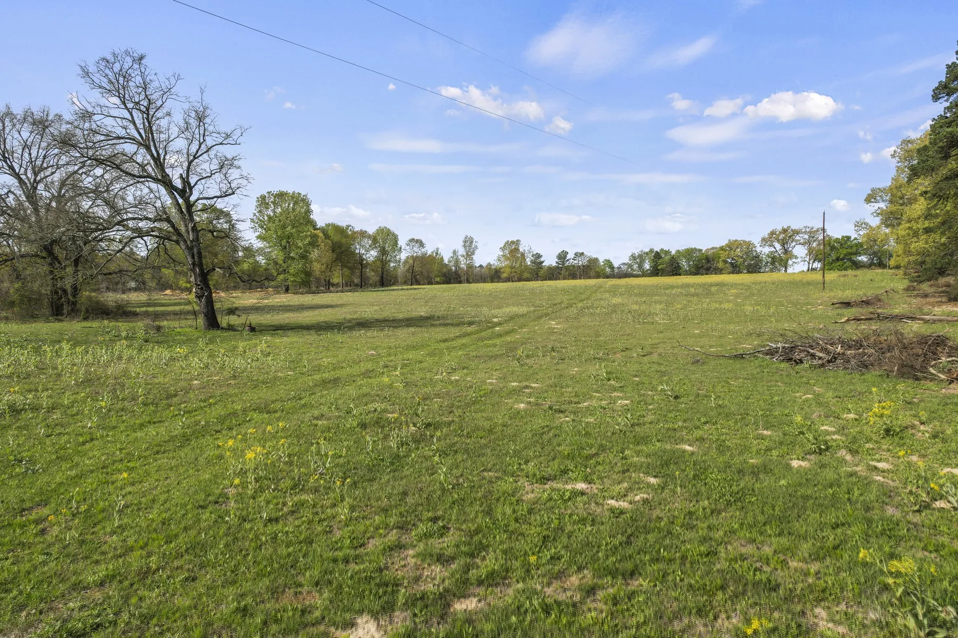 Unimproved Land For Sale in Titus County , 000 County Road 4663, Mt Pleasant, Texas 75455, 0, 0, Garage spaces, 0 Sqft, built in 0, mls#21175832, Real Estate Agent in Mt Pleasant, Homes For Sale in Titus county, Homes For Sale in Mt Pleasant, Realtor in Mt Pleasant Texas, Real Estate Brokerage Independent Realty Texas, Luminita Cordes Realtor