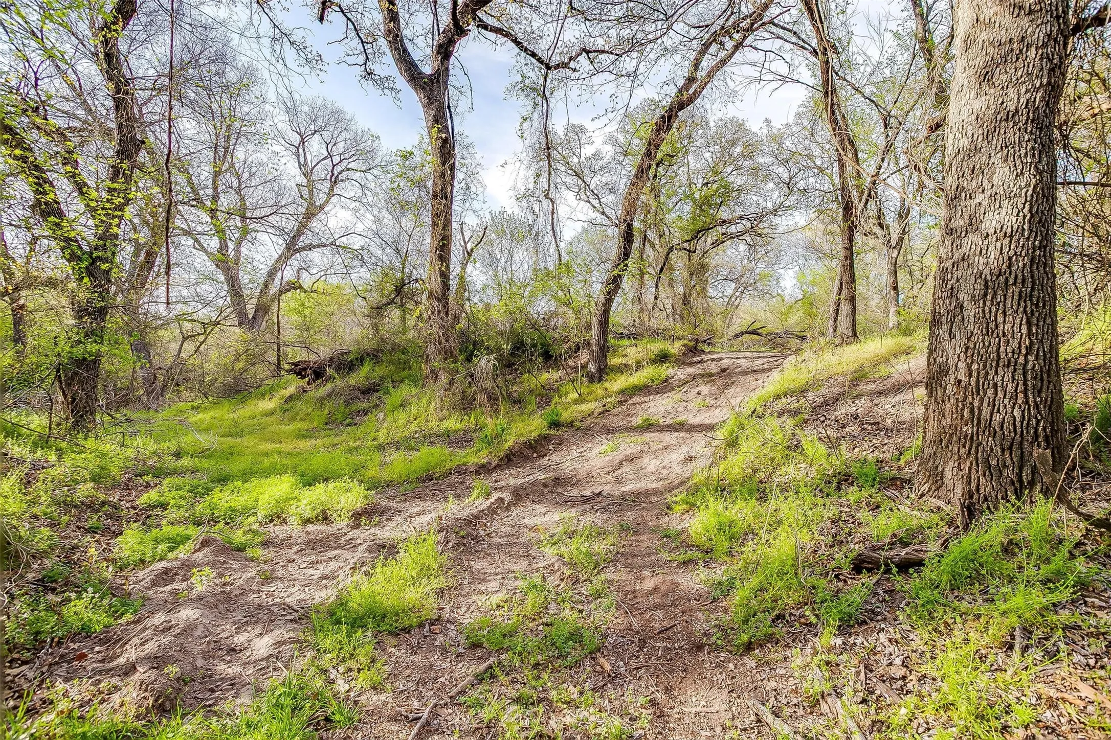 Farm For Sale in Wise County , 599 Private Road 3630, Springtown, Texas 76020, 3 Bedroom, 2 Bathroom, 2 Garage spaces, 2,304 Sqft, built in 2024, Preowned, mls#21139667, Real Estate Agent in Springtown, Homes For Sale in Wise county, Homes For Sale in Springtown, Realtor in Springtown Texas, Real Estate Brokerage Independent Realty Texas, Luminita Cordes Realtor